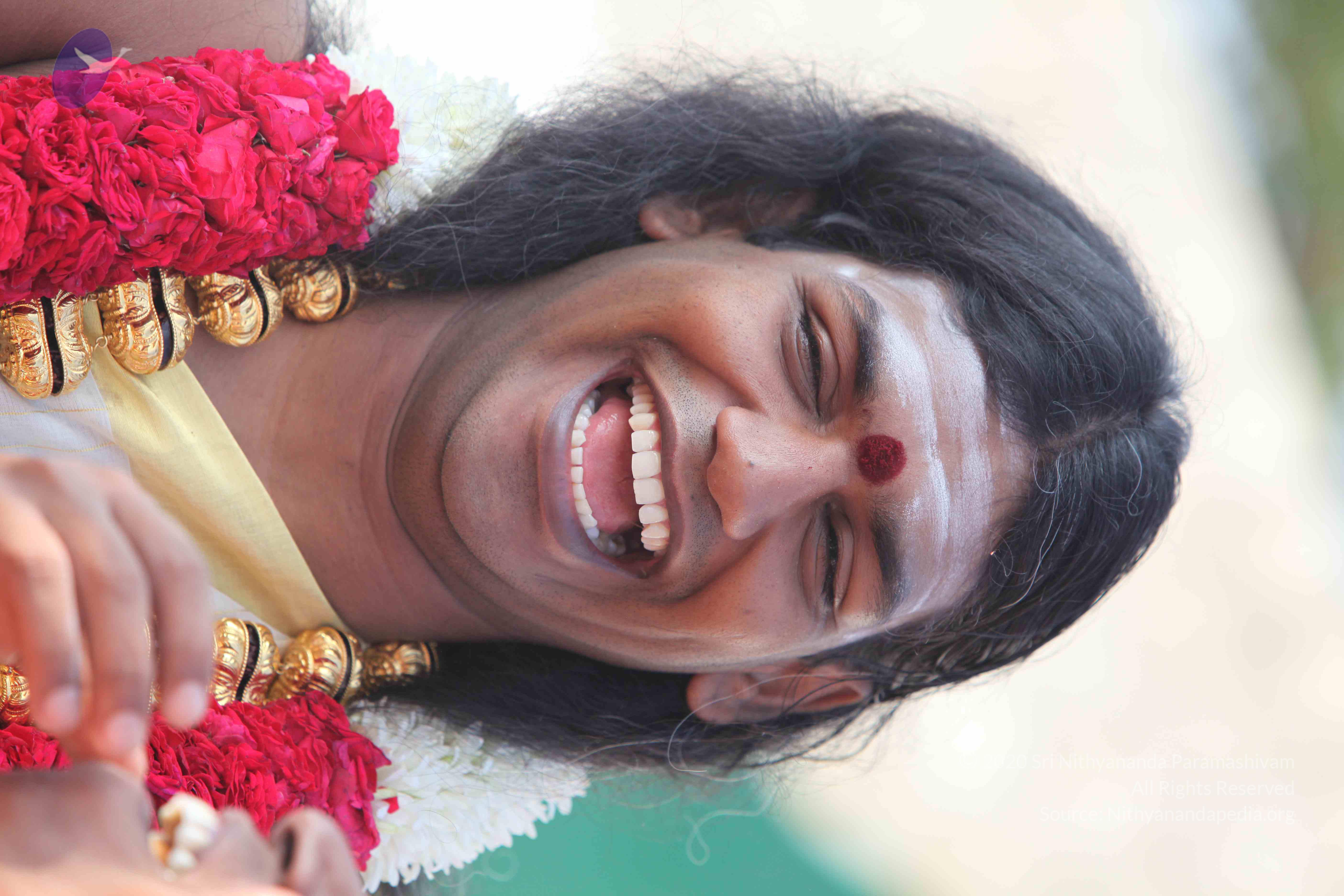 20100101_Photo_1064_IMG_4286_CMP_WM