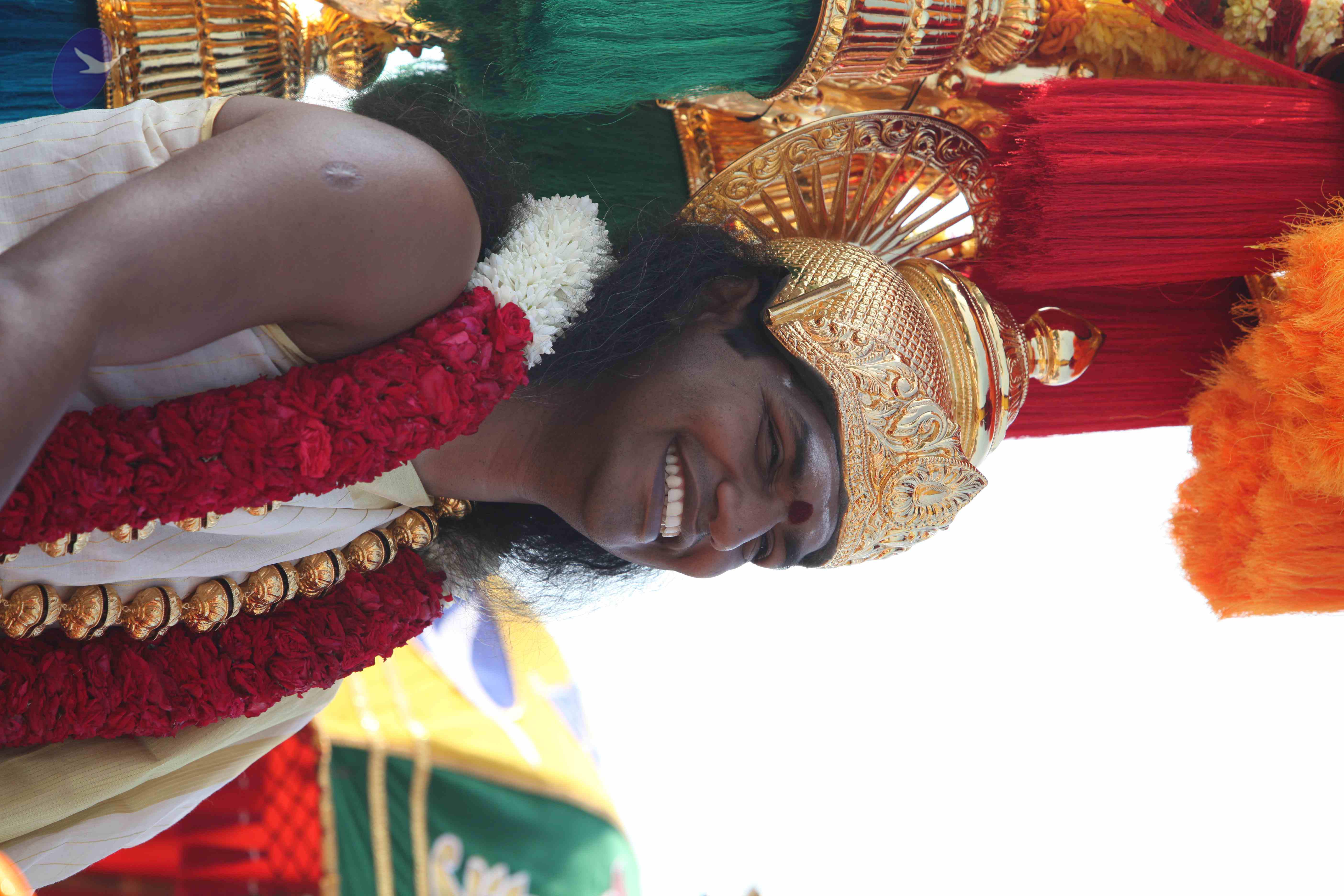 20100101_Photo_1101_IMG_4379_CMP_WM