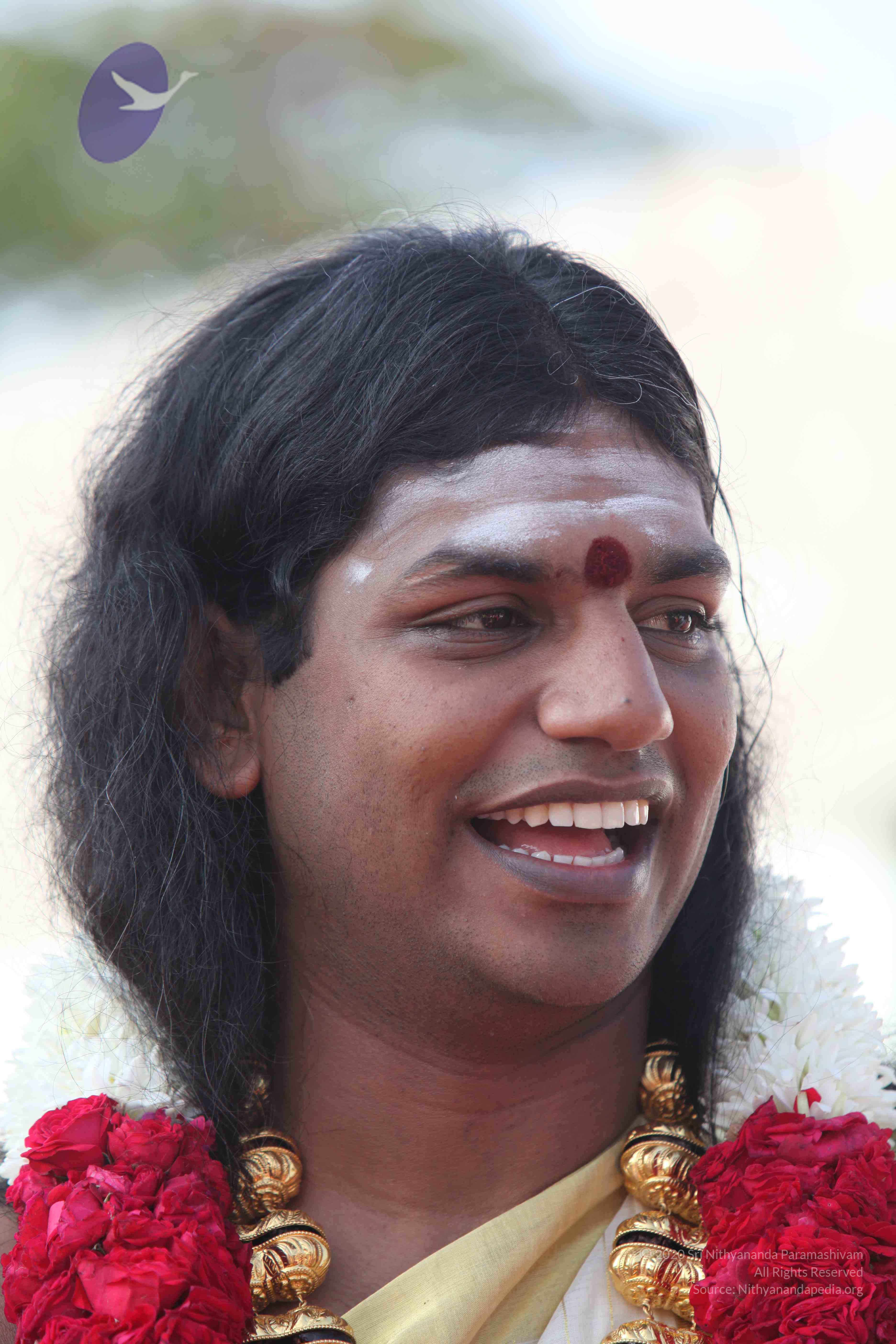 20100101_Photo_1115_IMG_4292_CMP_WM