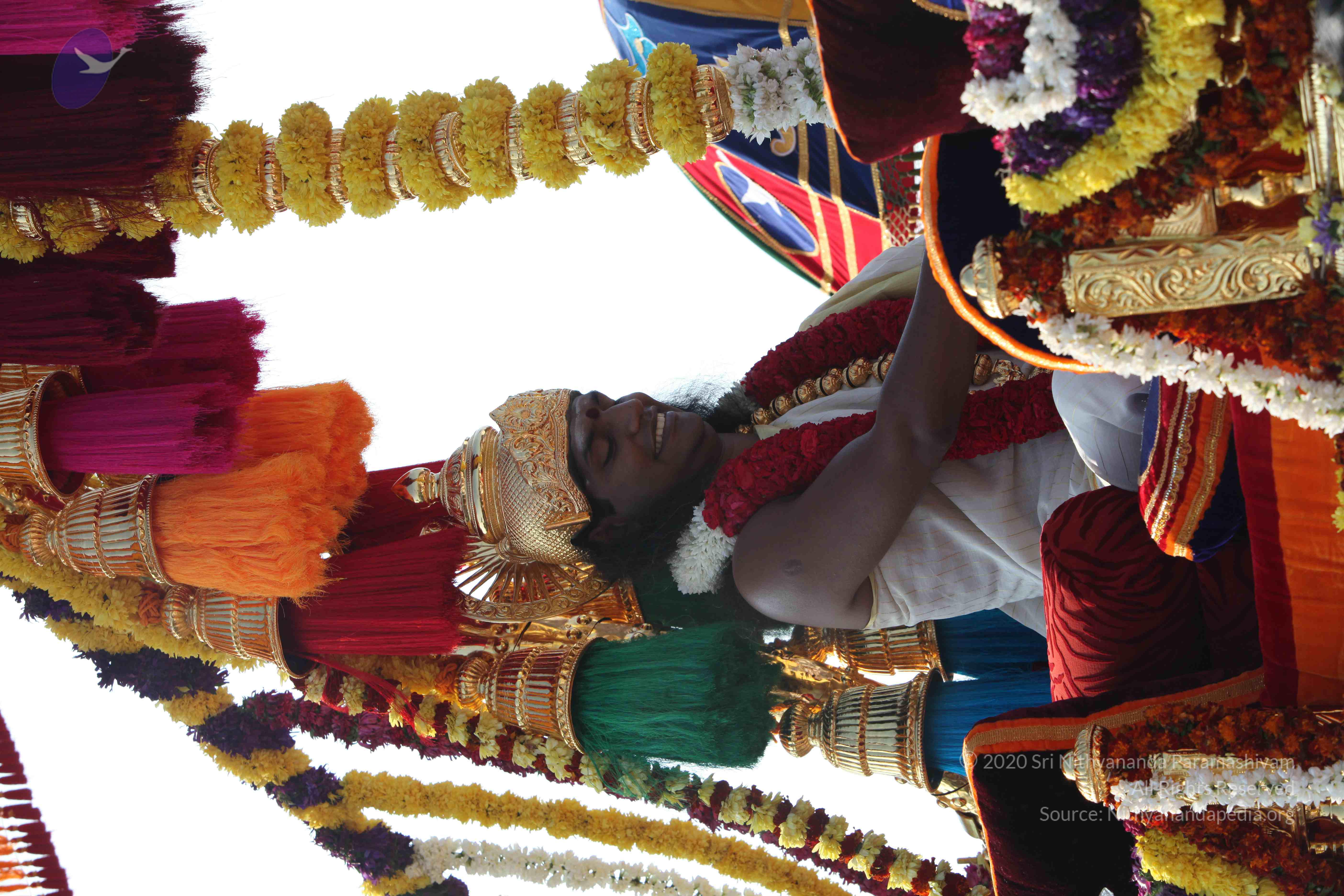 20100101_Photo_1116_IMG_4365_CMP_WM