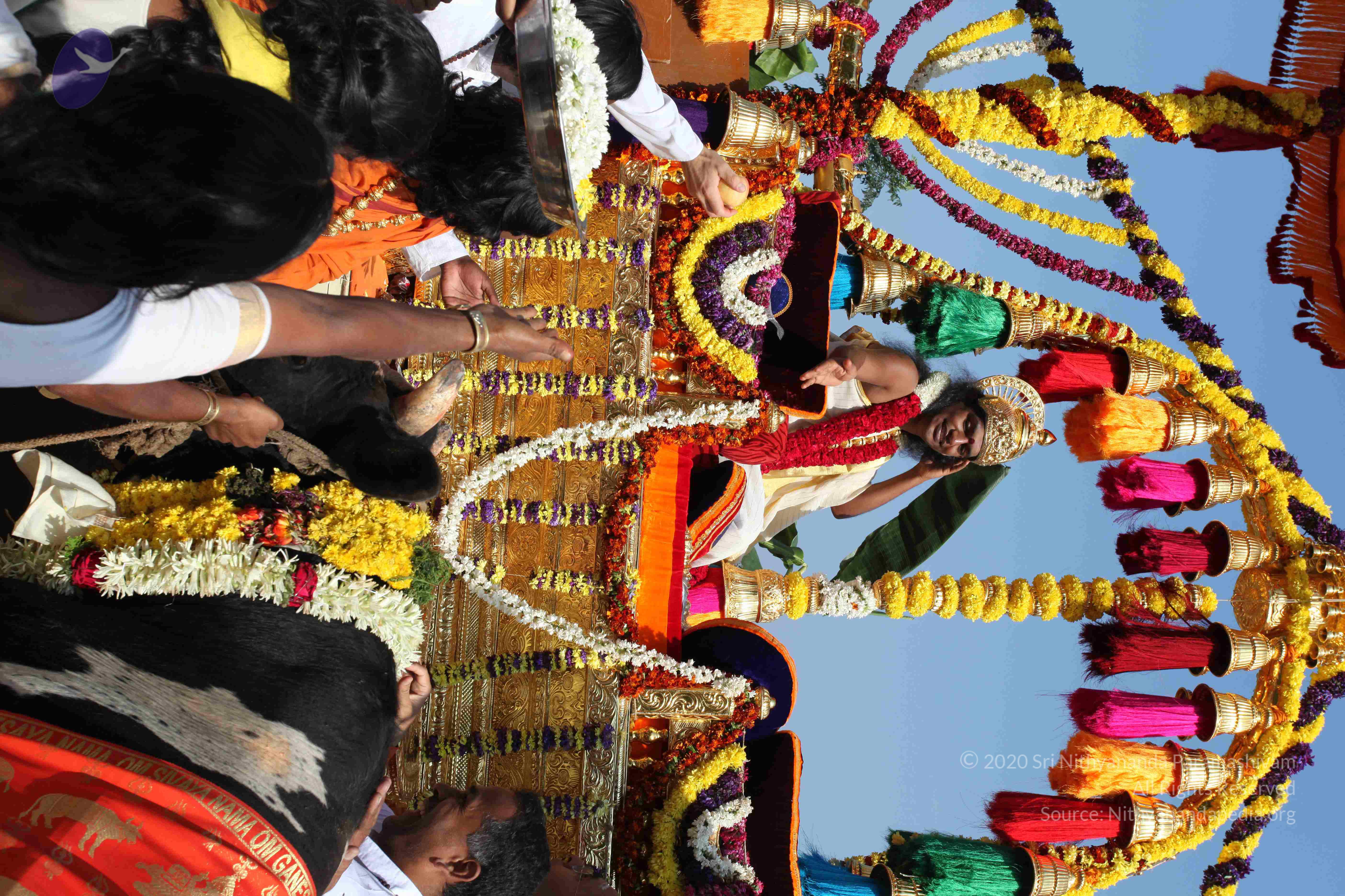 20100101_Photo_1132_IMG_4682_CMP_WM