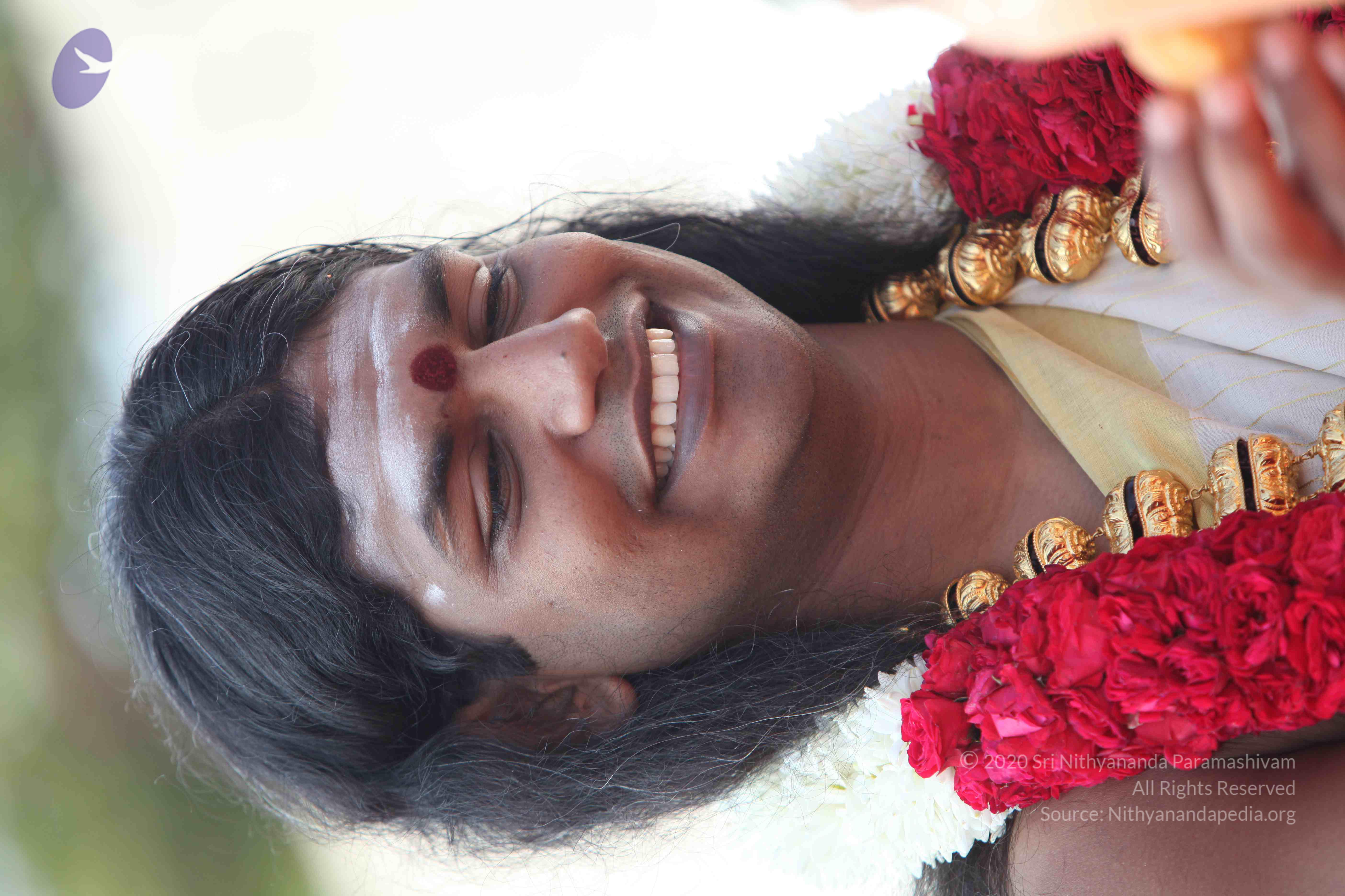 20100101_Photo_1136_IMG_4276_CMP_WM