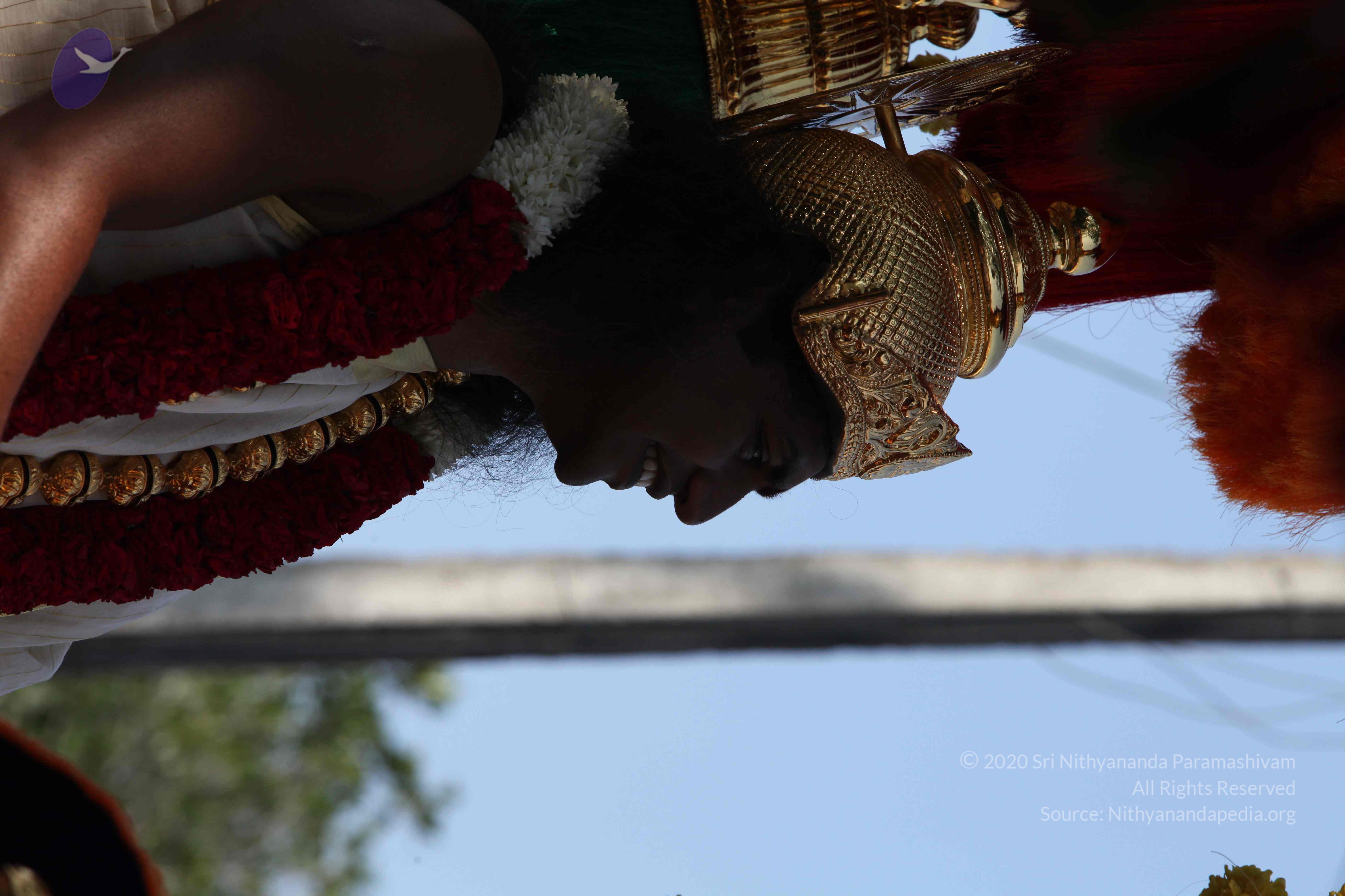 20100101_Photo_1156_IMG_4661_CMP_WM