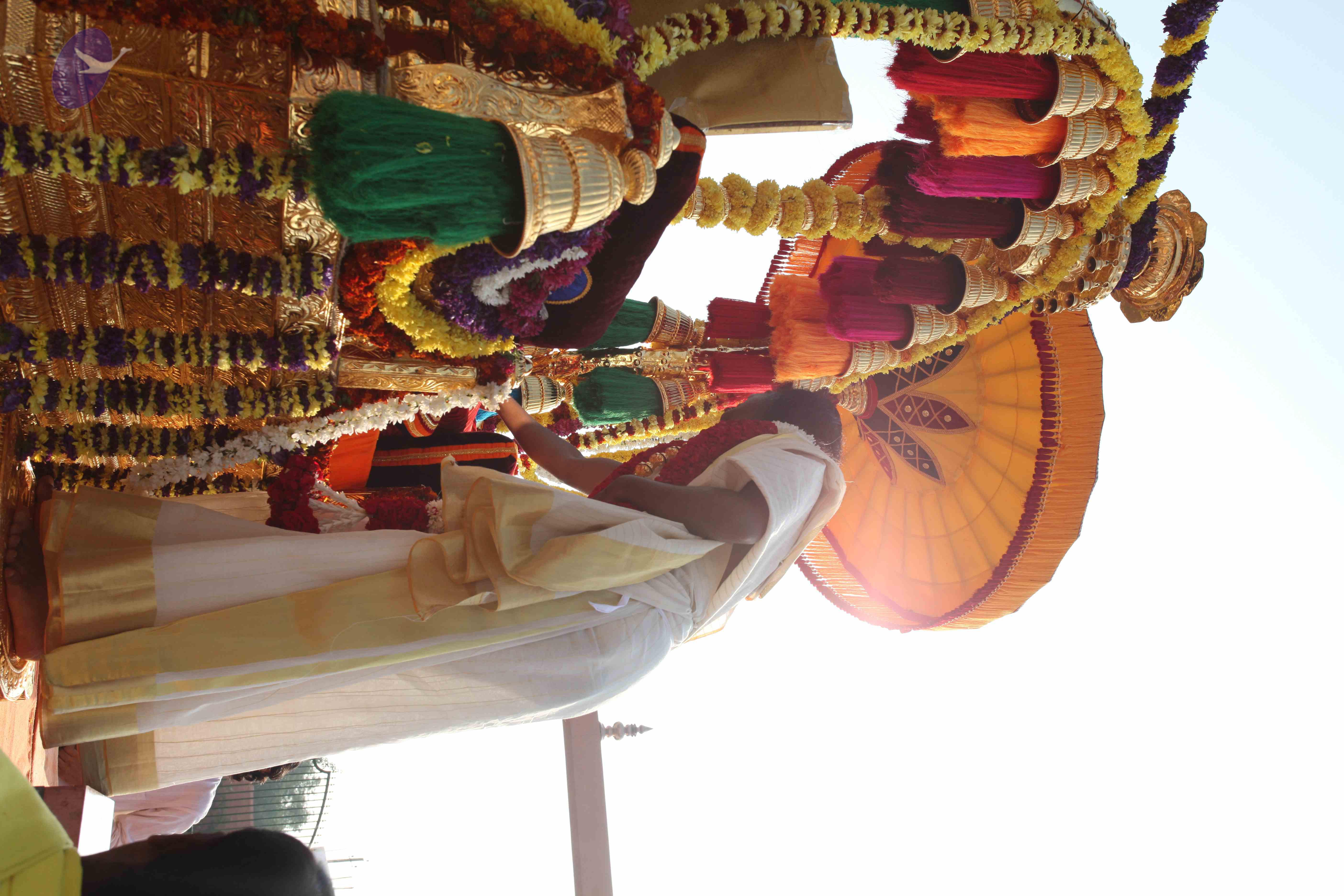 20100101_Photo_1186_IMG_4344_CMP_WM