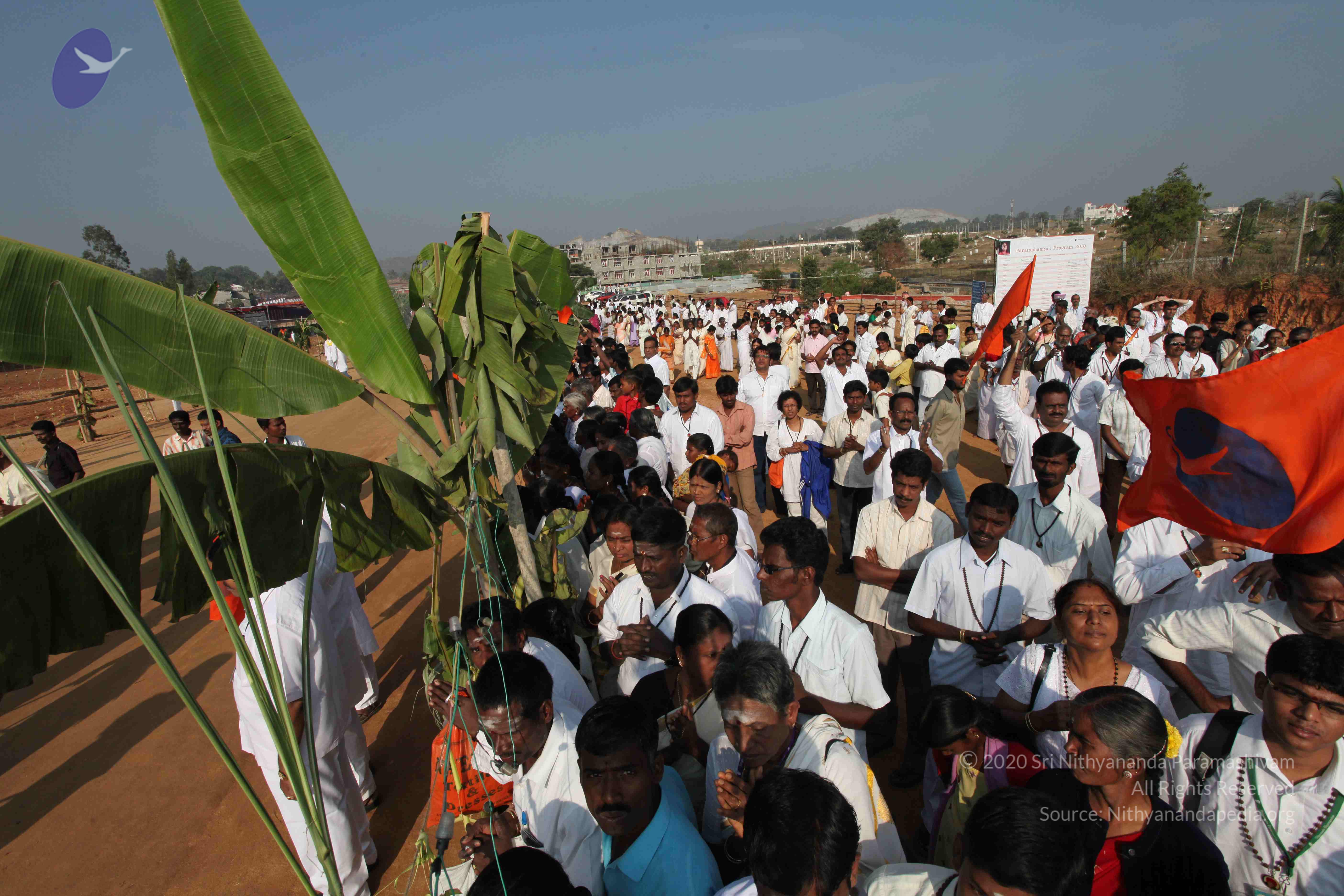 20100101_Photo_1188_IMG_4411_CMP_WM