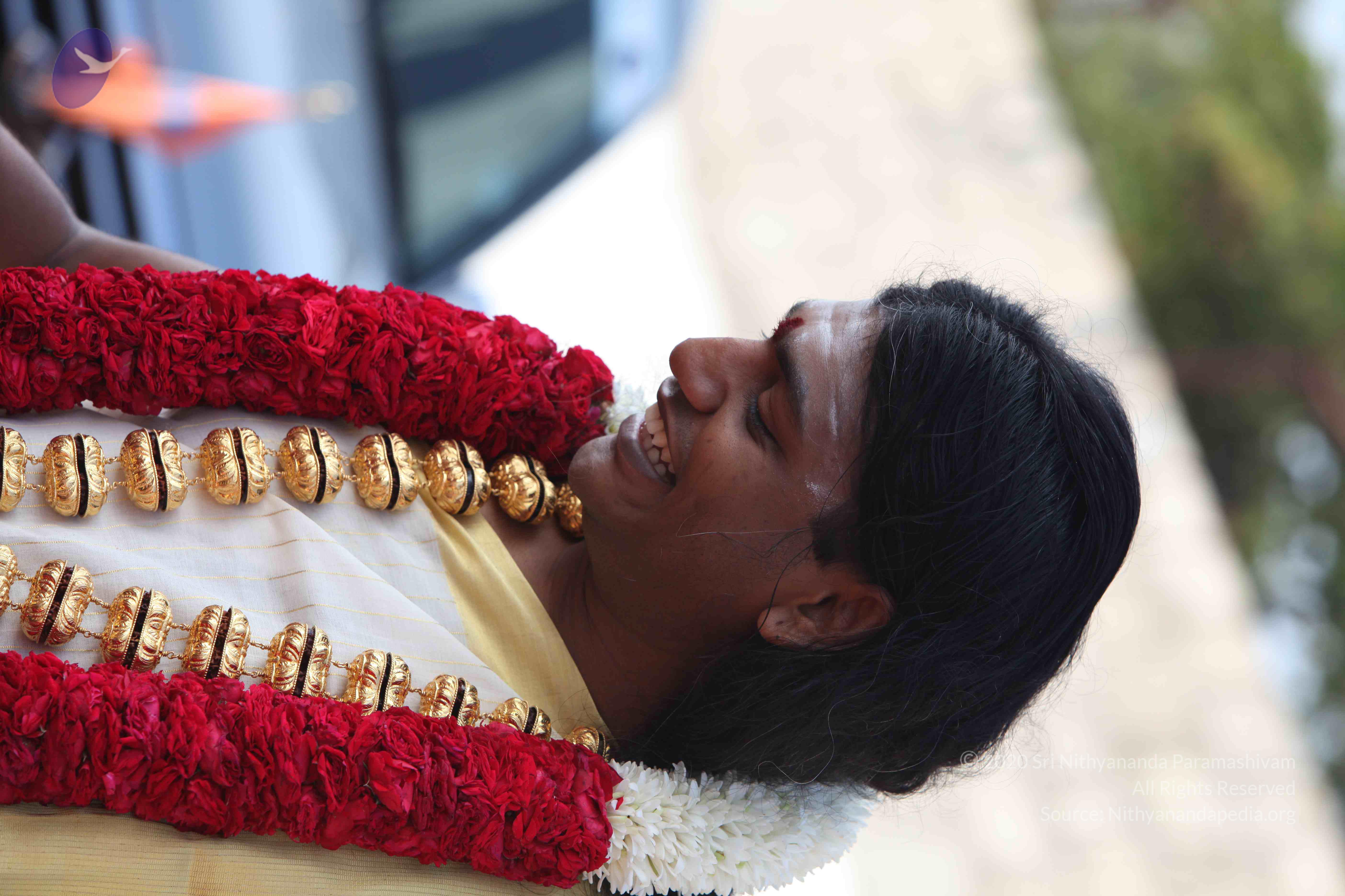 20100101_Photo_1193_IMG_4267_CMP_WM