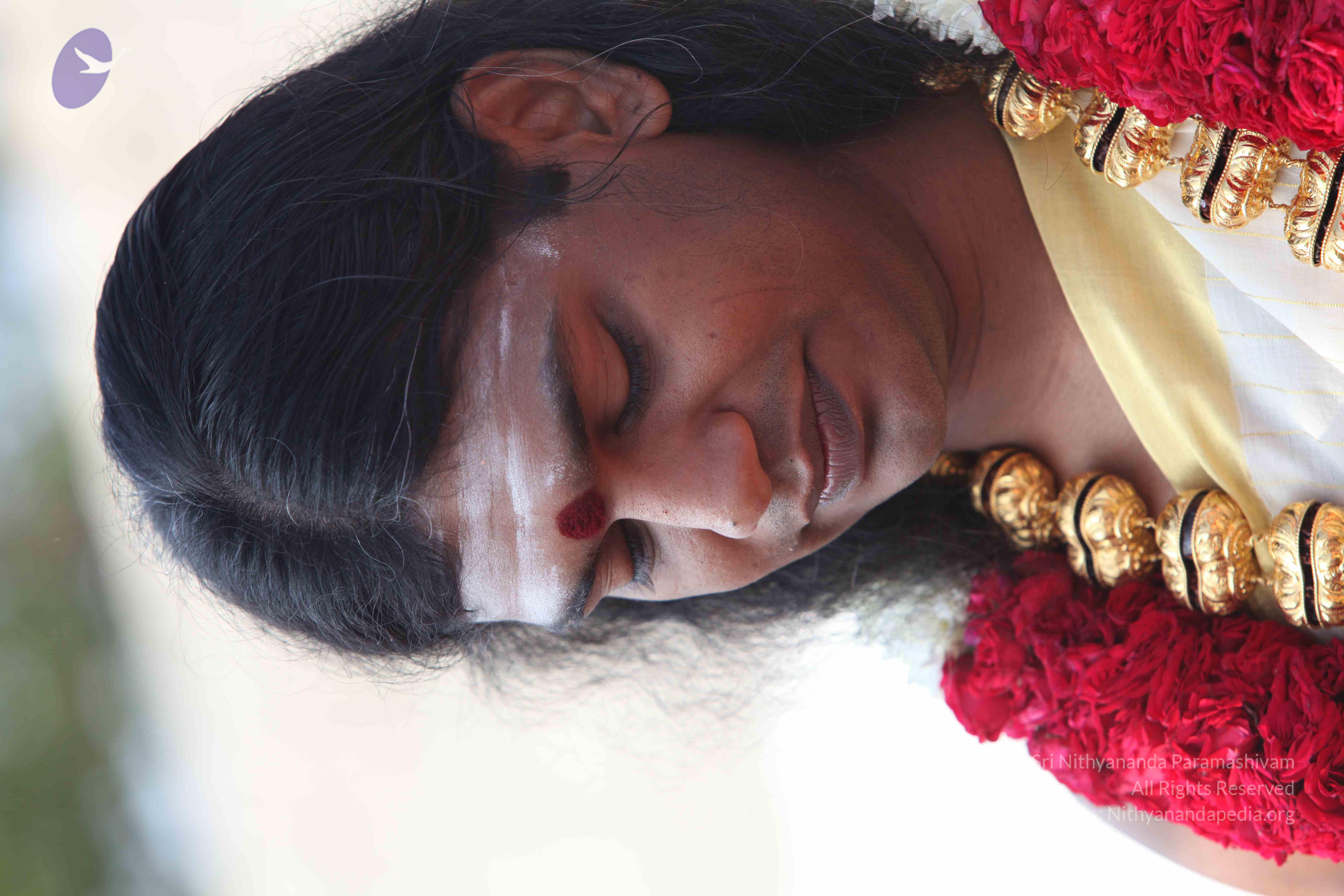 20100101_Photo_1201_IMG_4281_CMP_WM