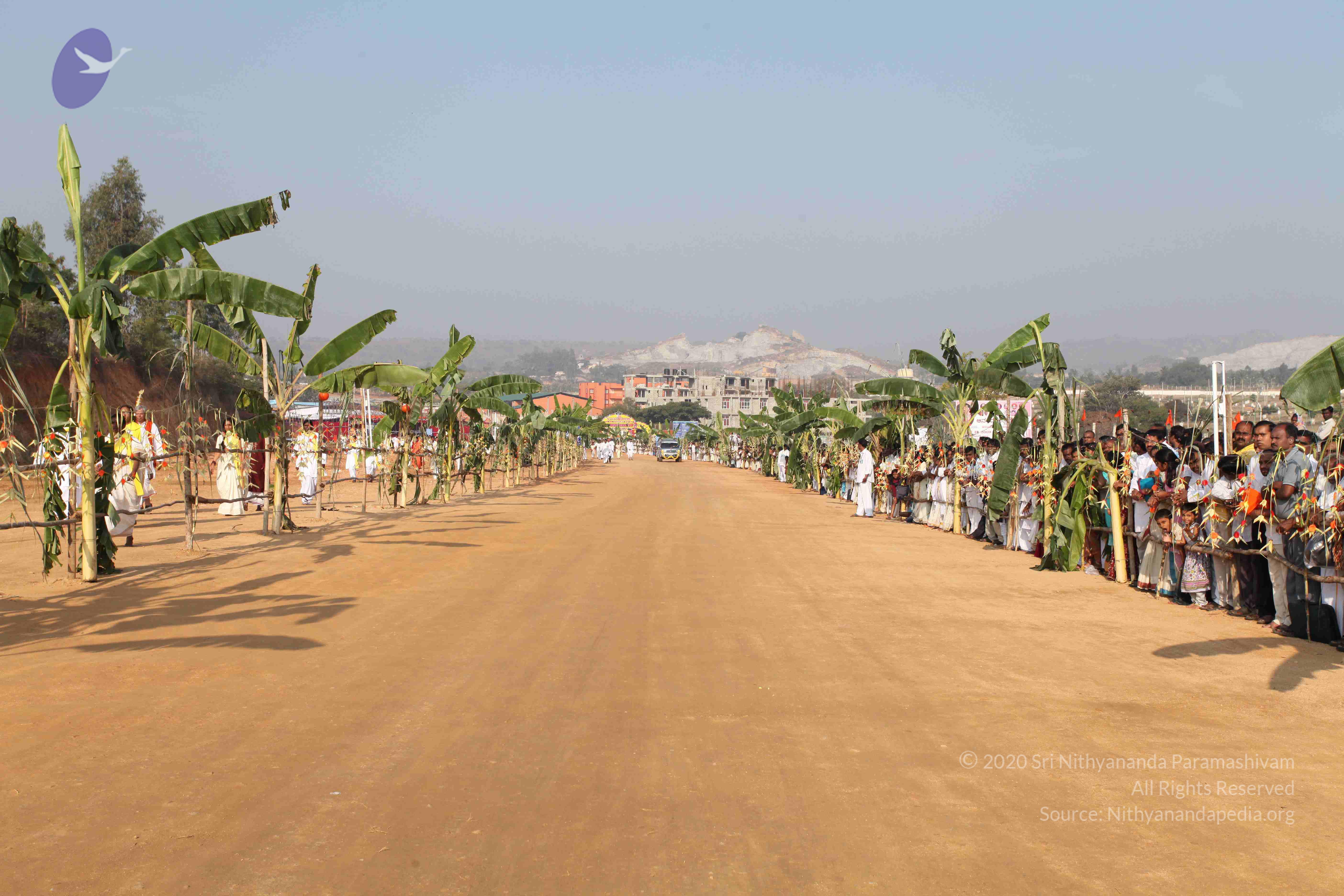 20100101_Photo_1241_IMG_4332_CMP_WM