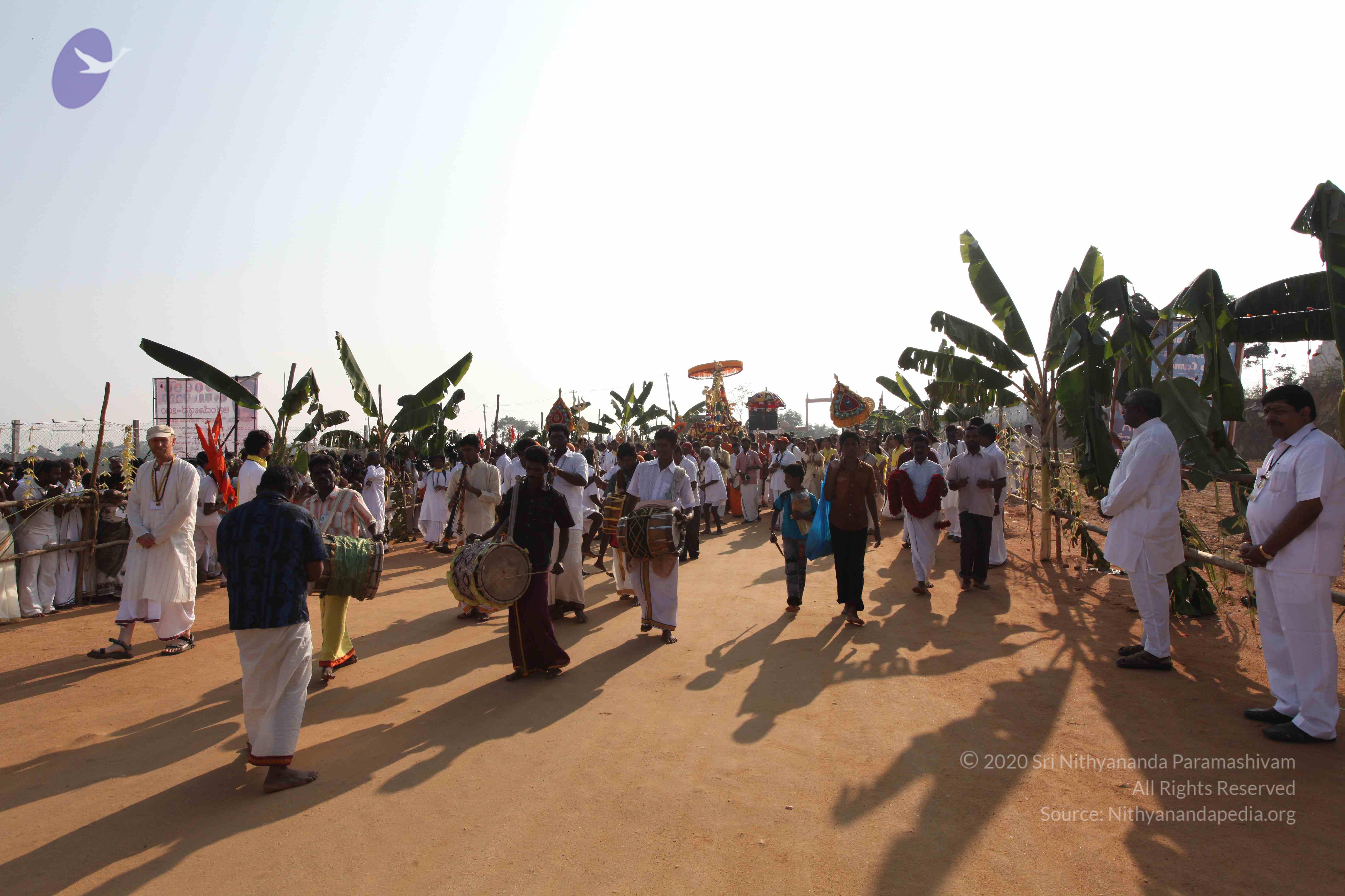 20100101_Photo_1246_IMG_4398_CMP_WM