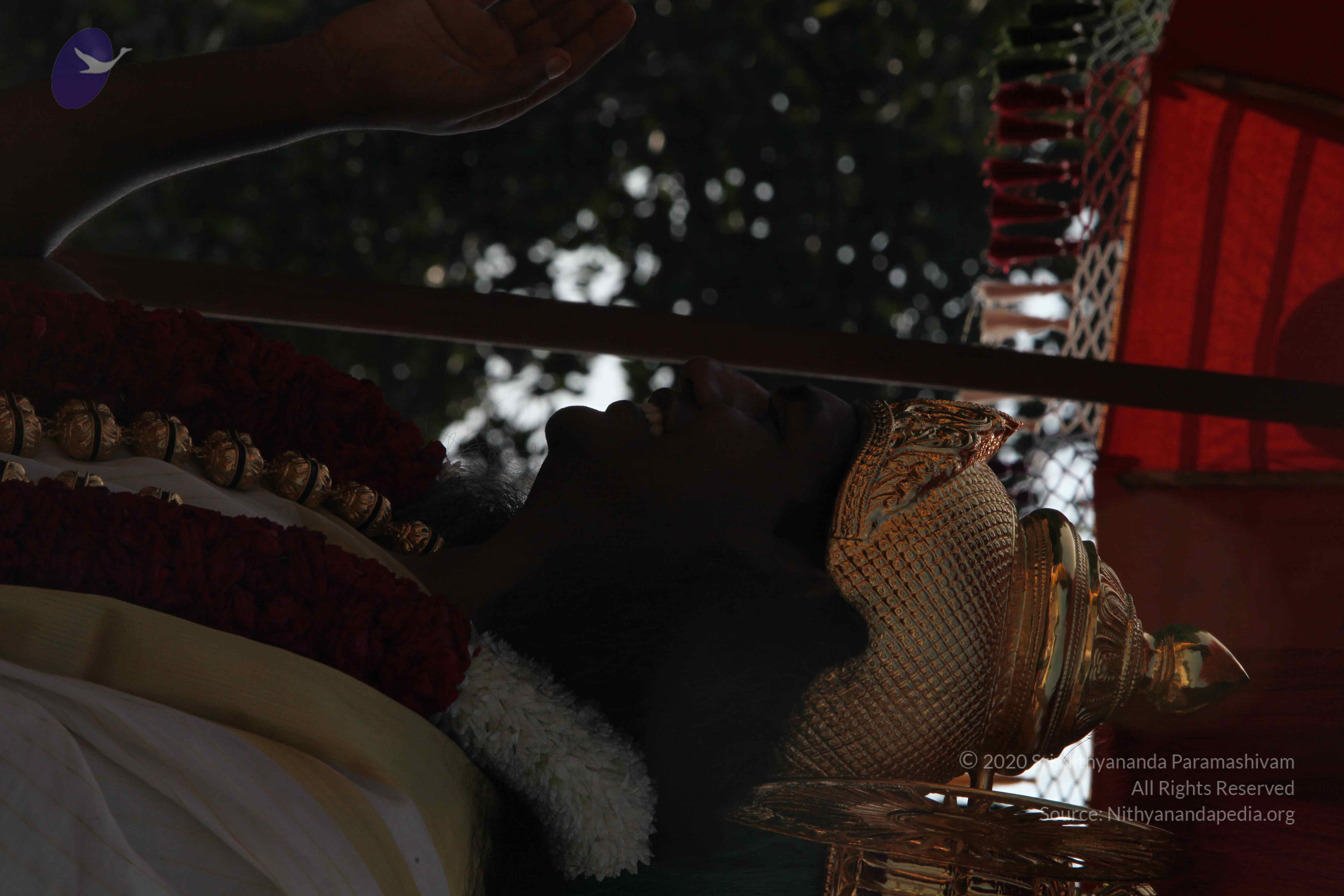 20100101_Photo_1253_IMG_4653_CMP_WM