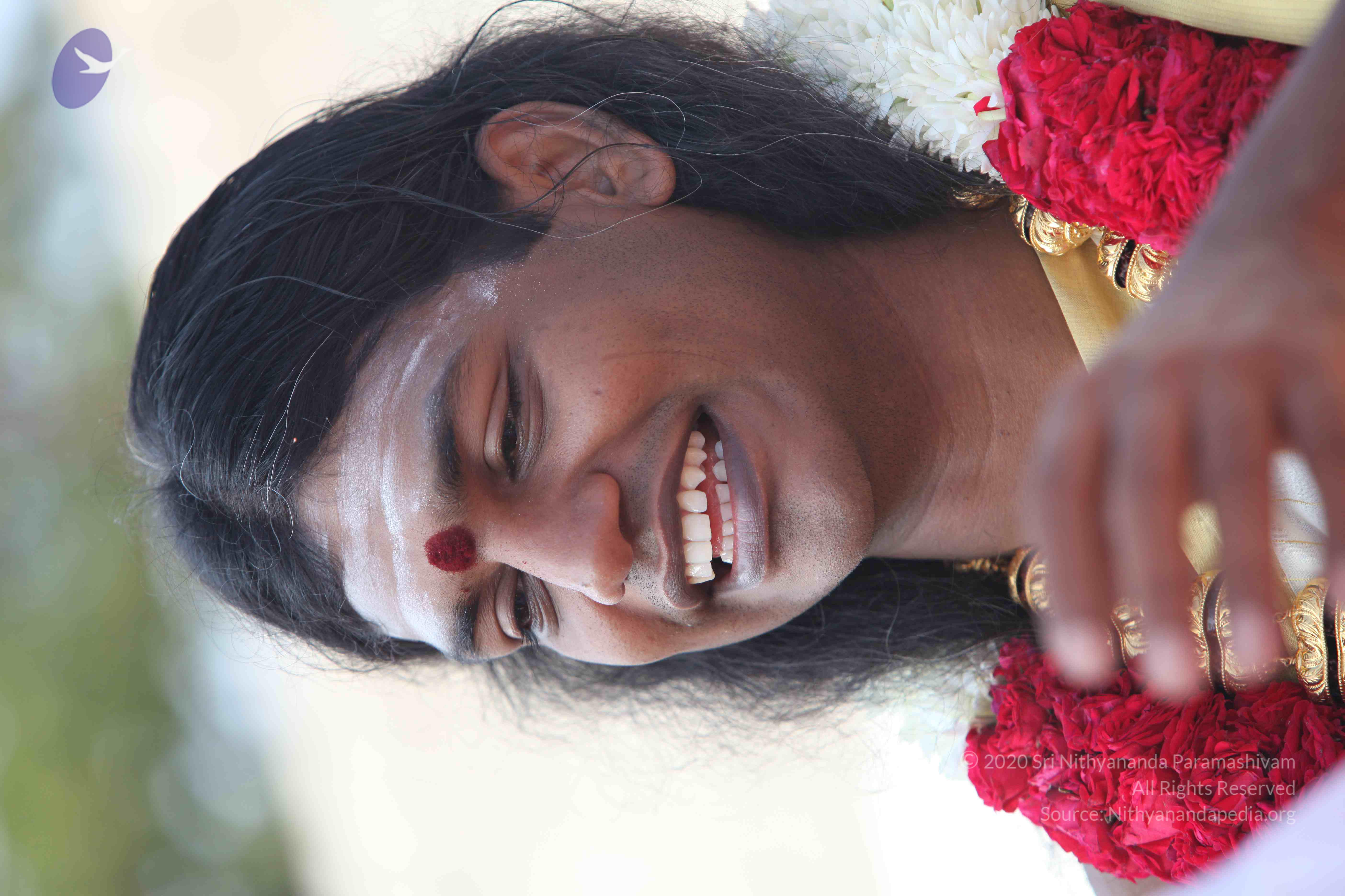 20100101_Photo_1265_IMG_4290_CMP_WM