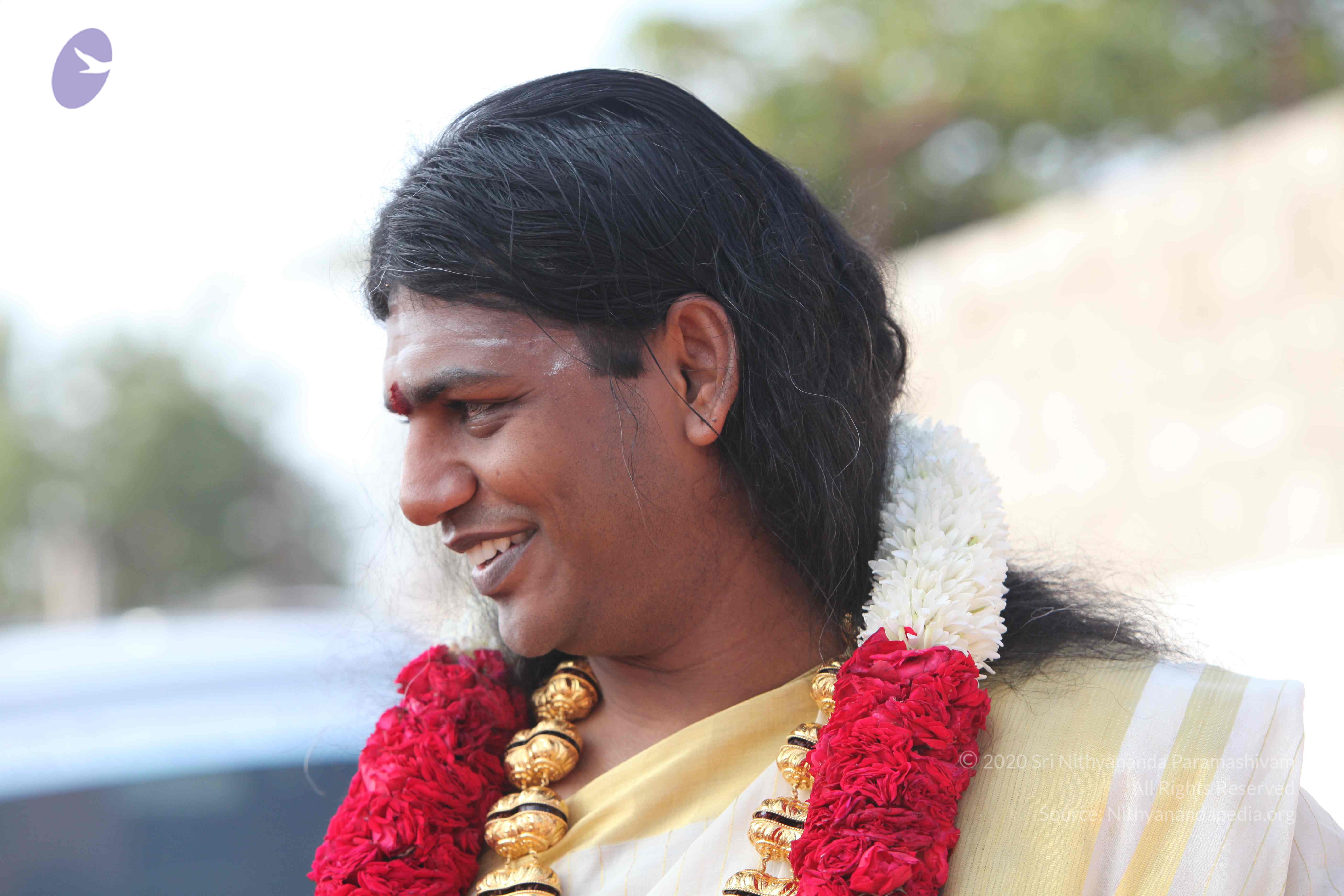 20100101_Photo_1272_IMG_4261_CMP_WM