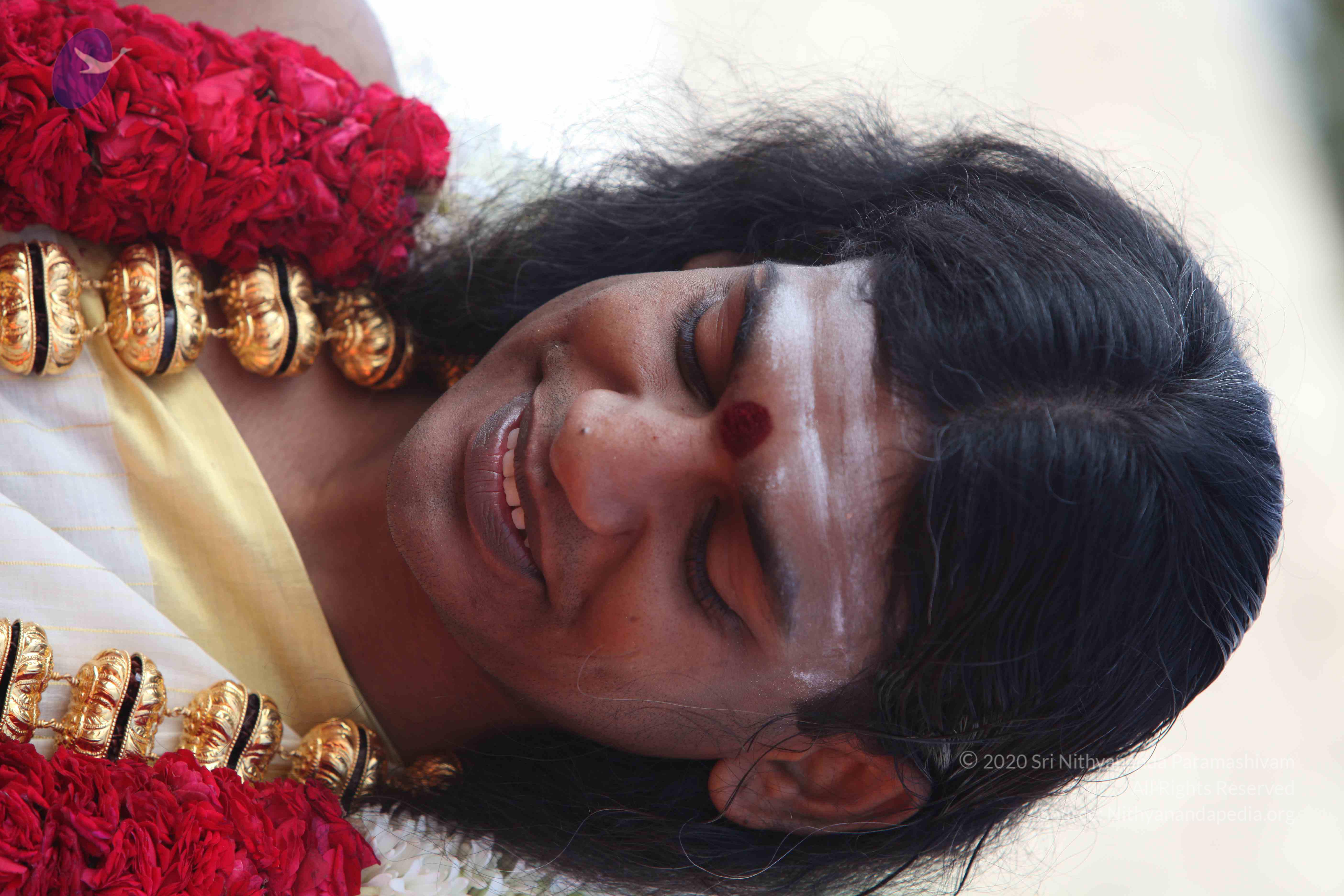 20100101_Photo_1295_IMG_4282_CMP_WM