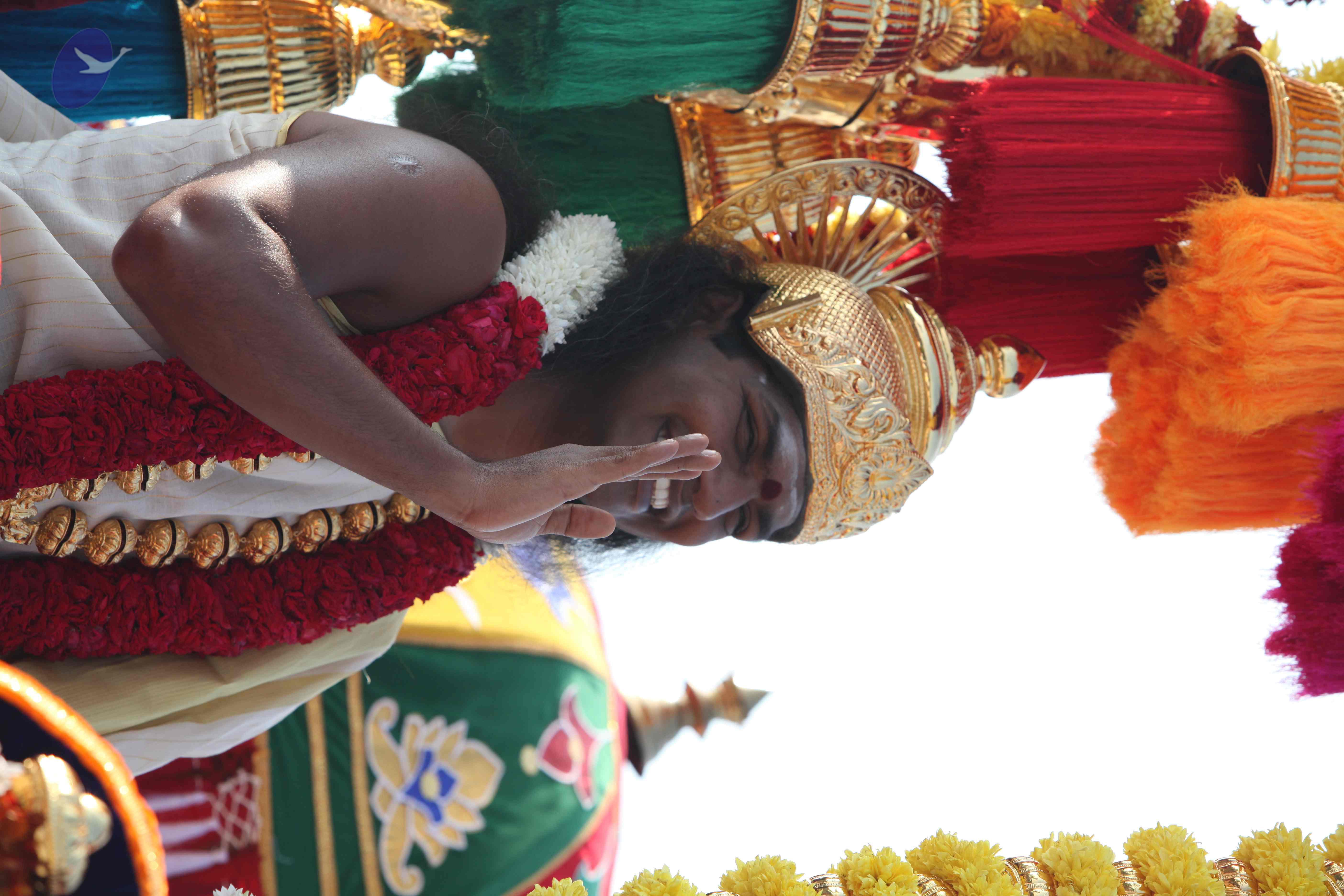 20100101_Photo_1308_IMG_4378_CMP_WM