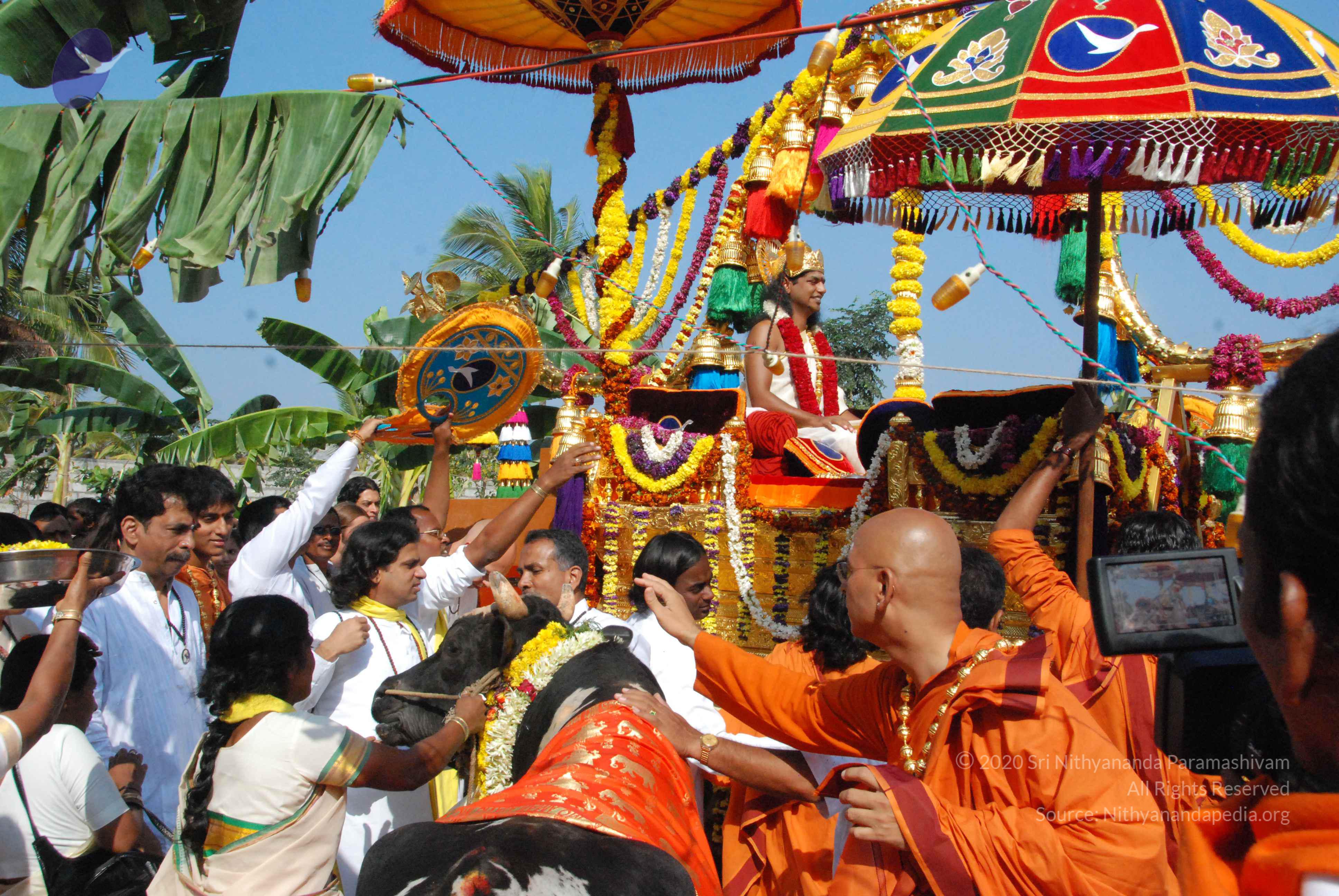 20100101_Photo_1319_DSC_1902_CMP_WM