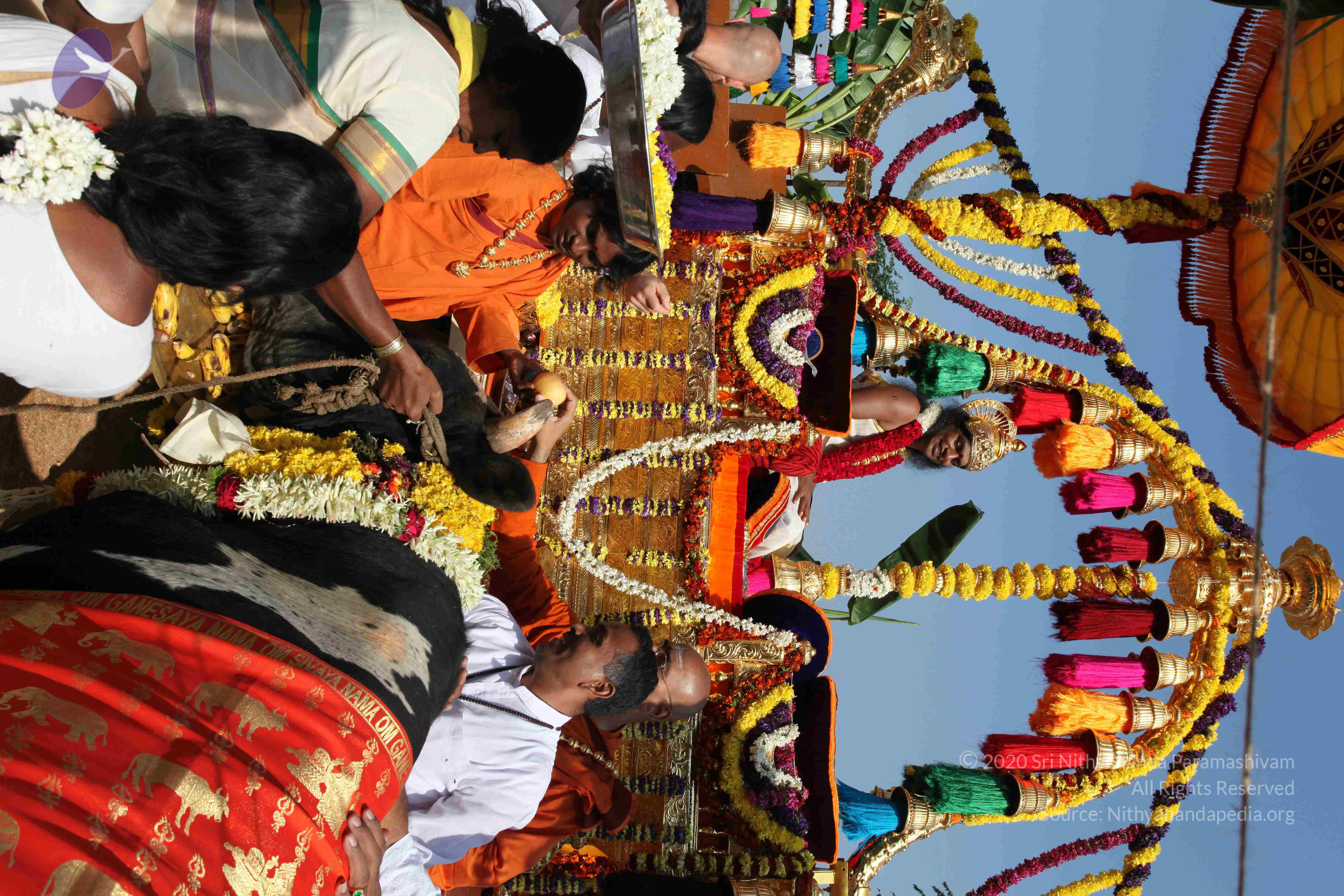 20100101_Photo_1320_IMG_4684_CMP_WM