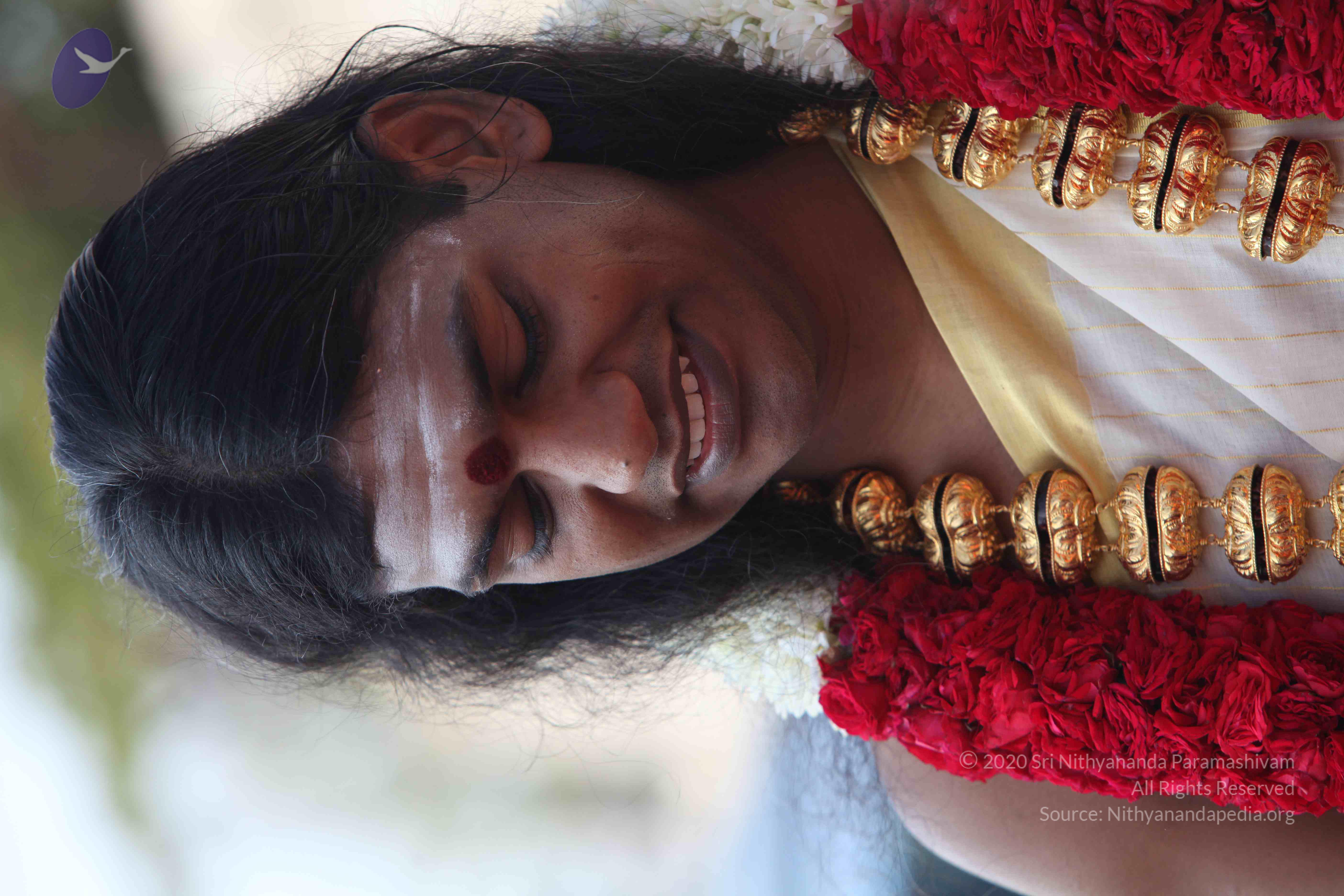 20100101_Photo_1325_IMG_4270_CMP_WM