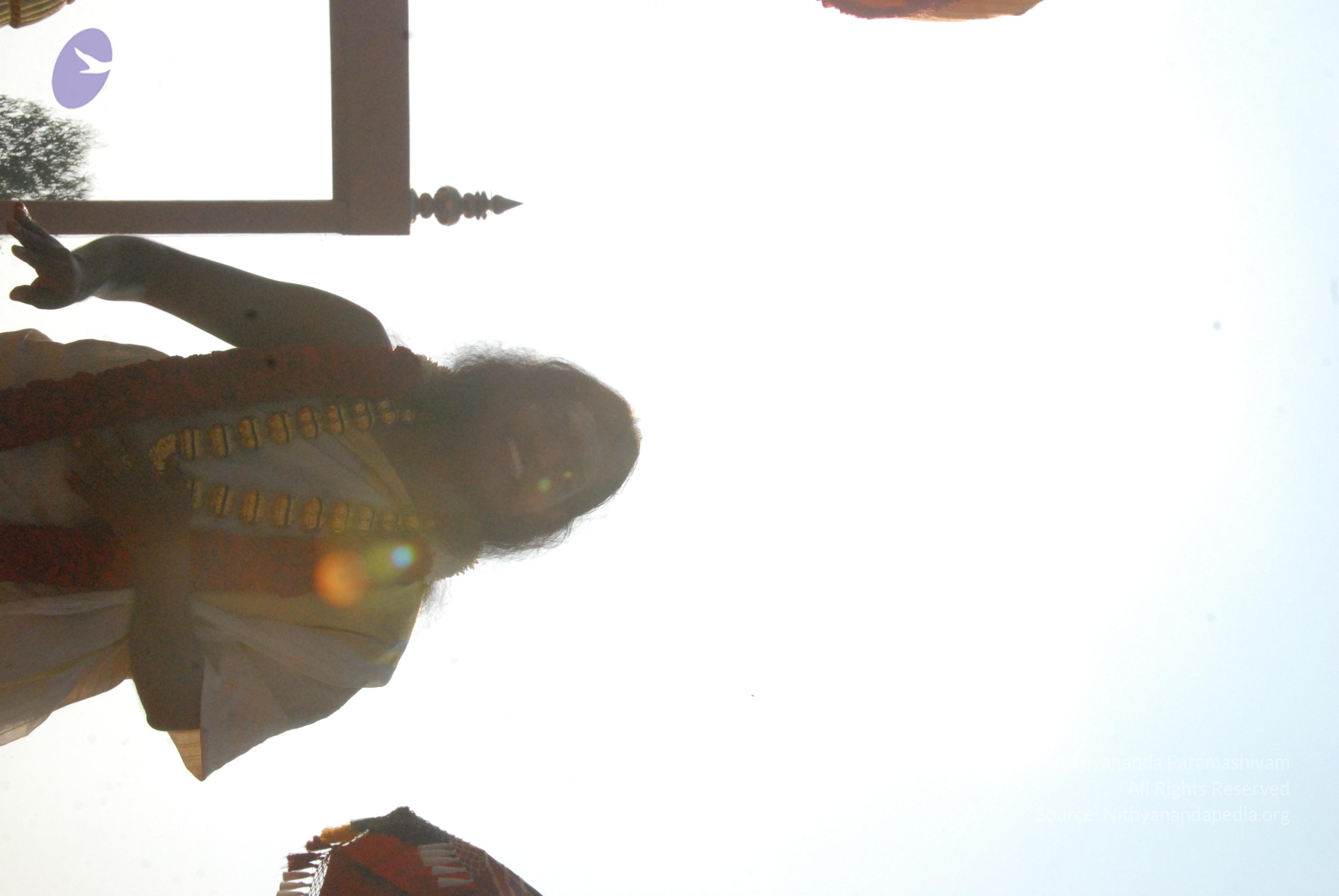 20100101_Photo_1344_DSC_1661_CMP_WM