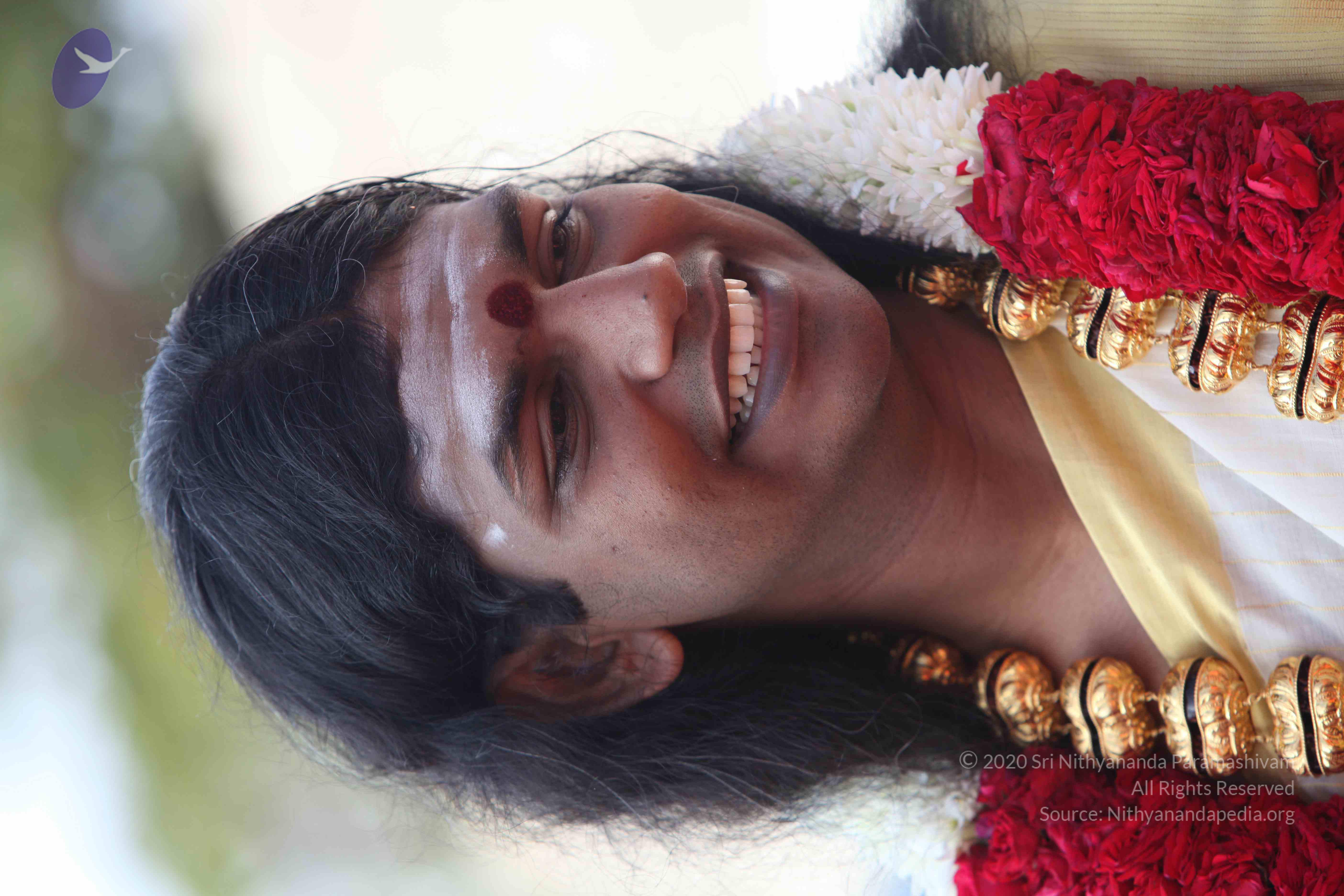 20100101_Photo_1352_IMG_4275_CMP_WM