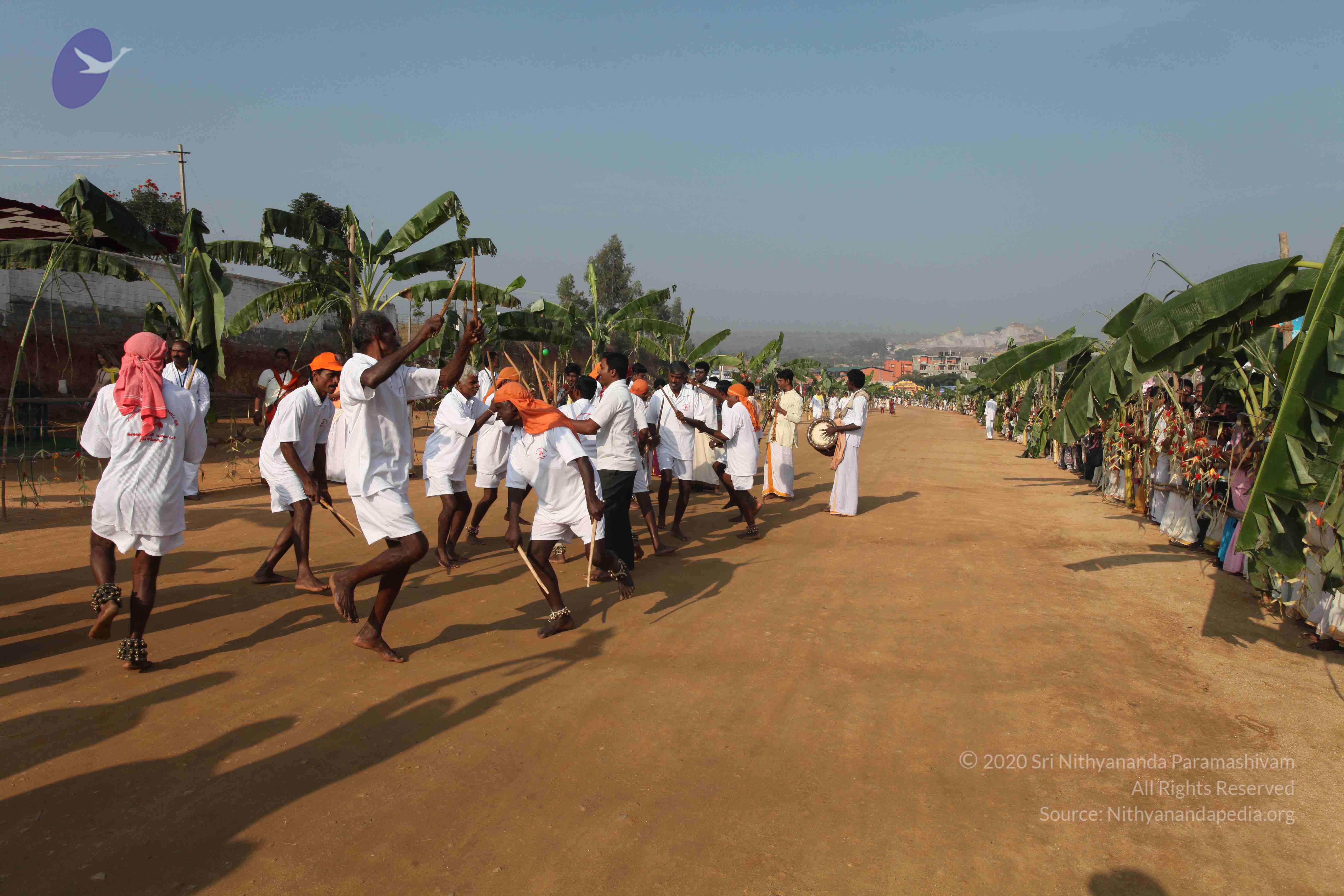 20100101_Photo_1354_IMG_4356_CMP_WM