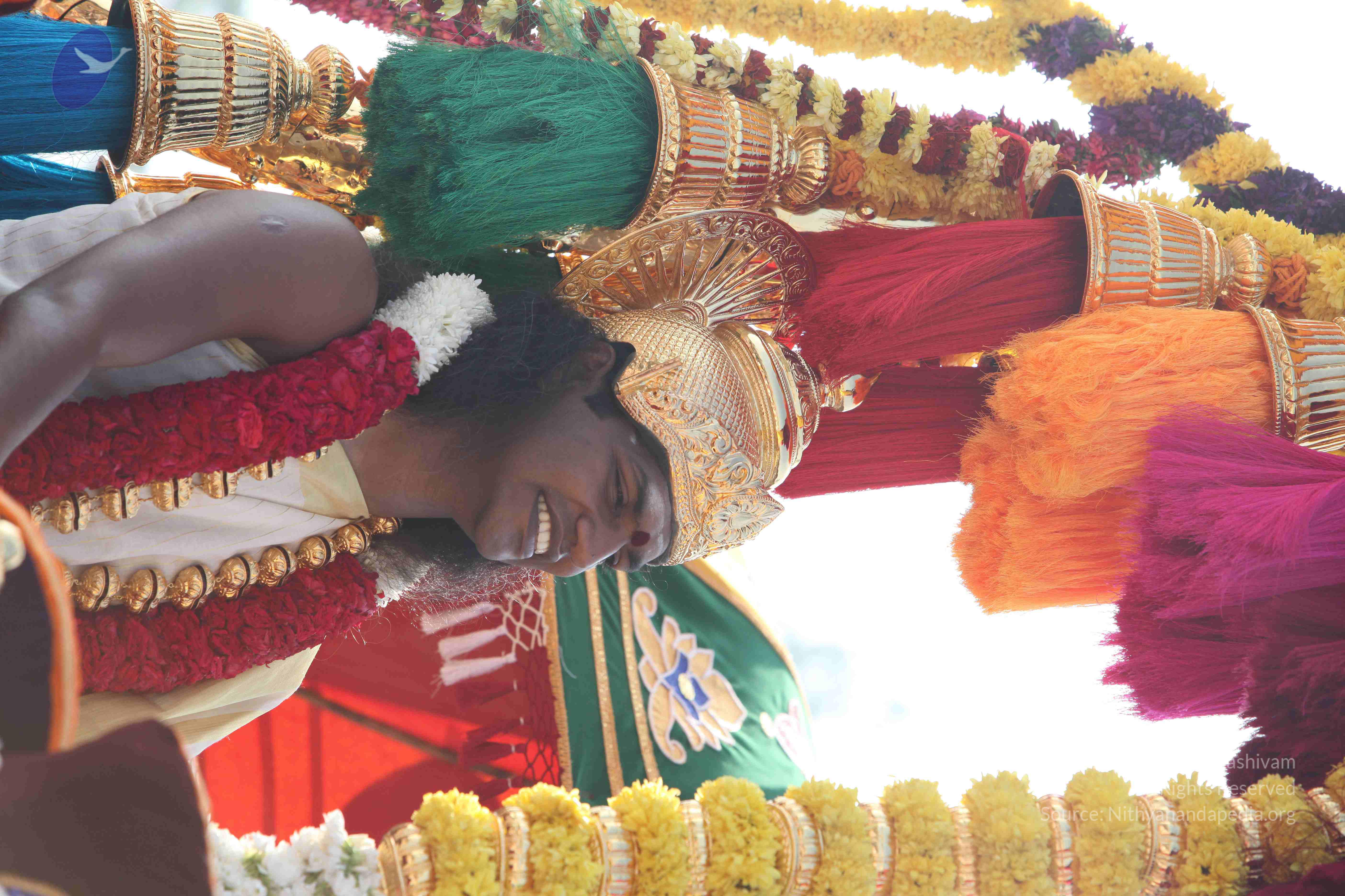 20100101_Photo_1356_IMG_4434_CMP_WM