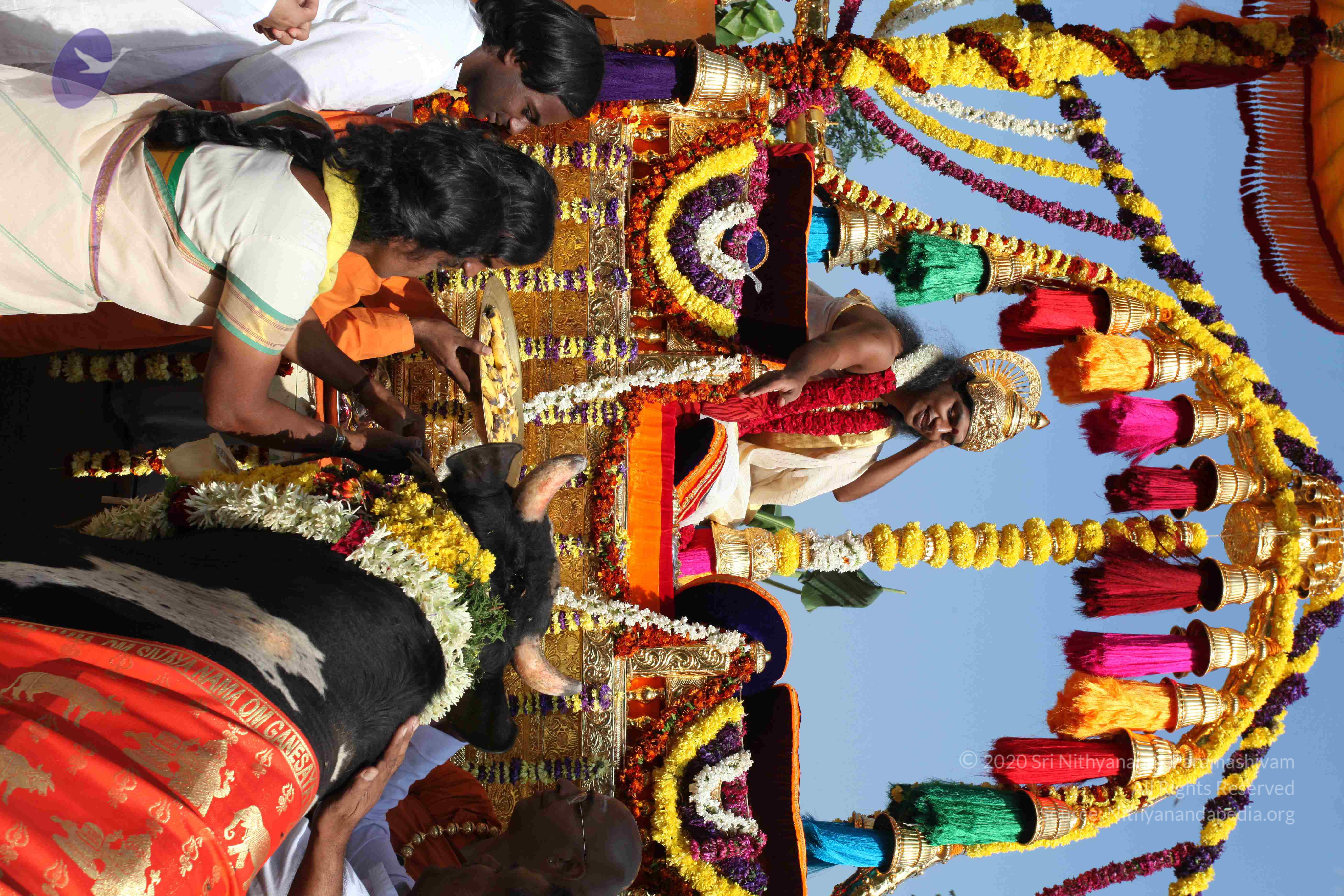 20100101_Photo_1365_IMG_4681_CMP_WM