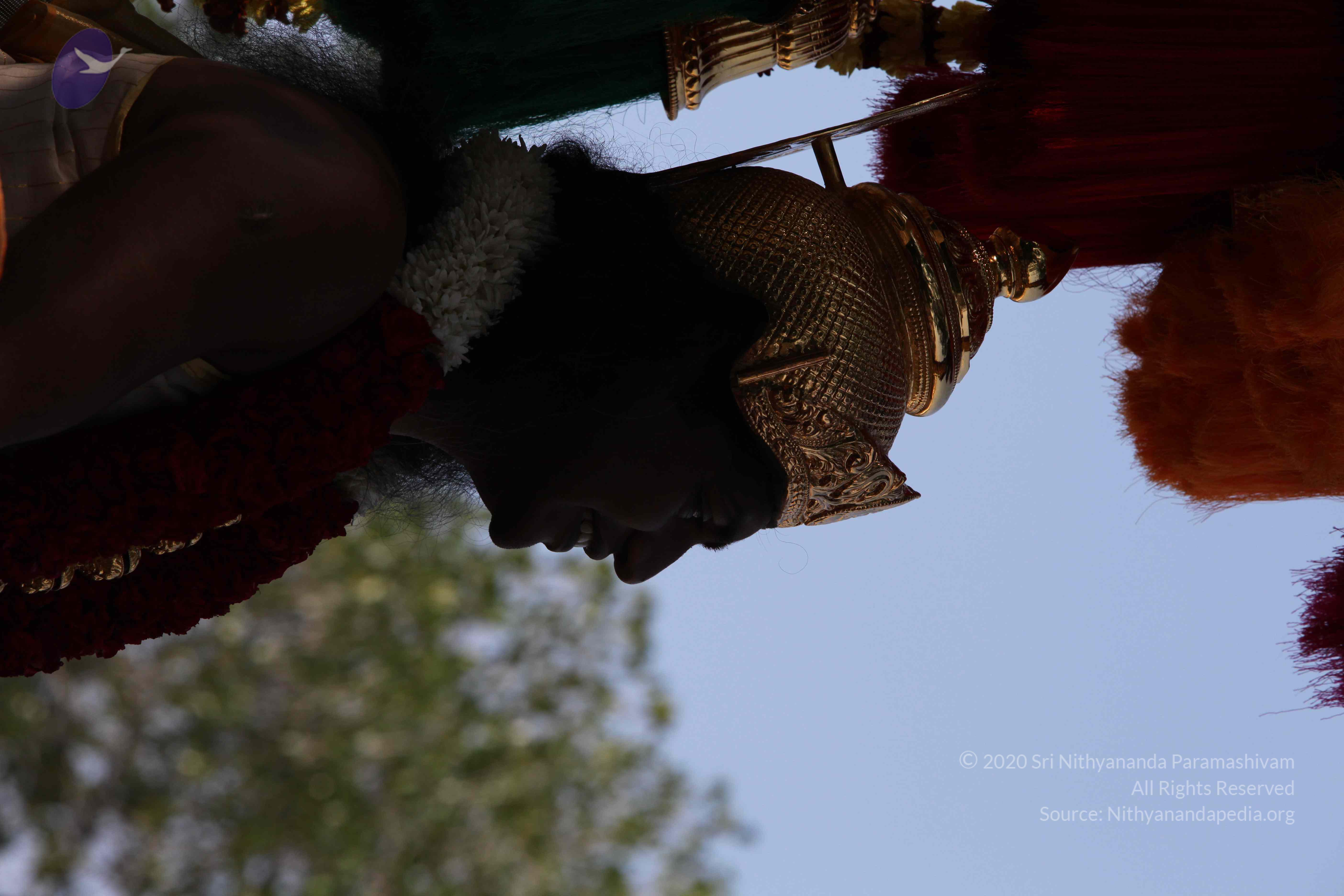 20100101_Photo_1378_IMG_4658_CMP_WM