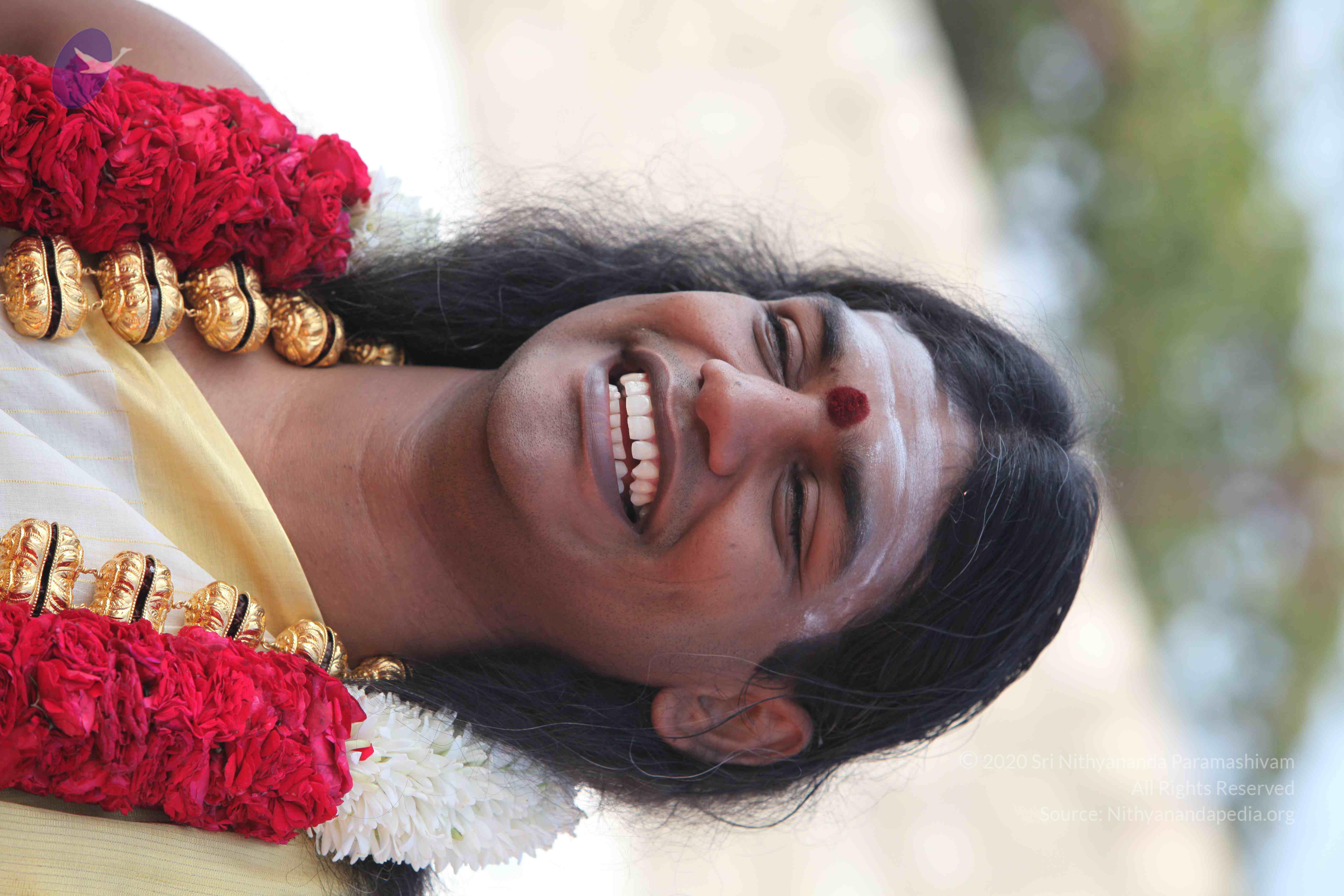 20100101_Photo_1383_IMG_4287_CMP_WM