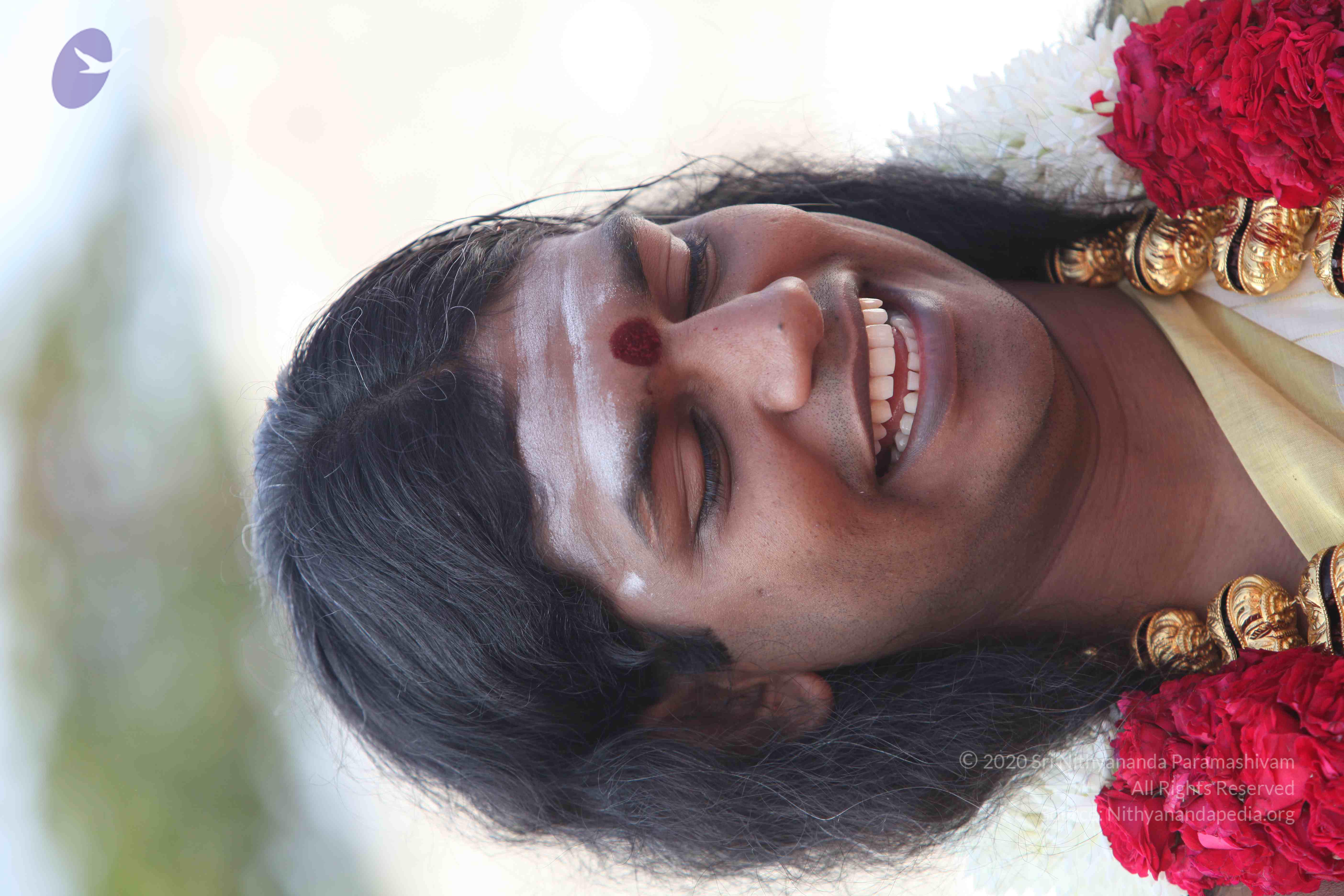 20100101_Photo_1454_IMG_4291_CMP_WM