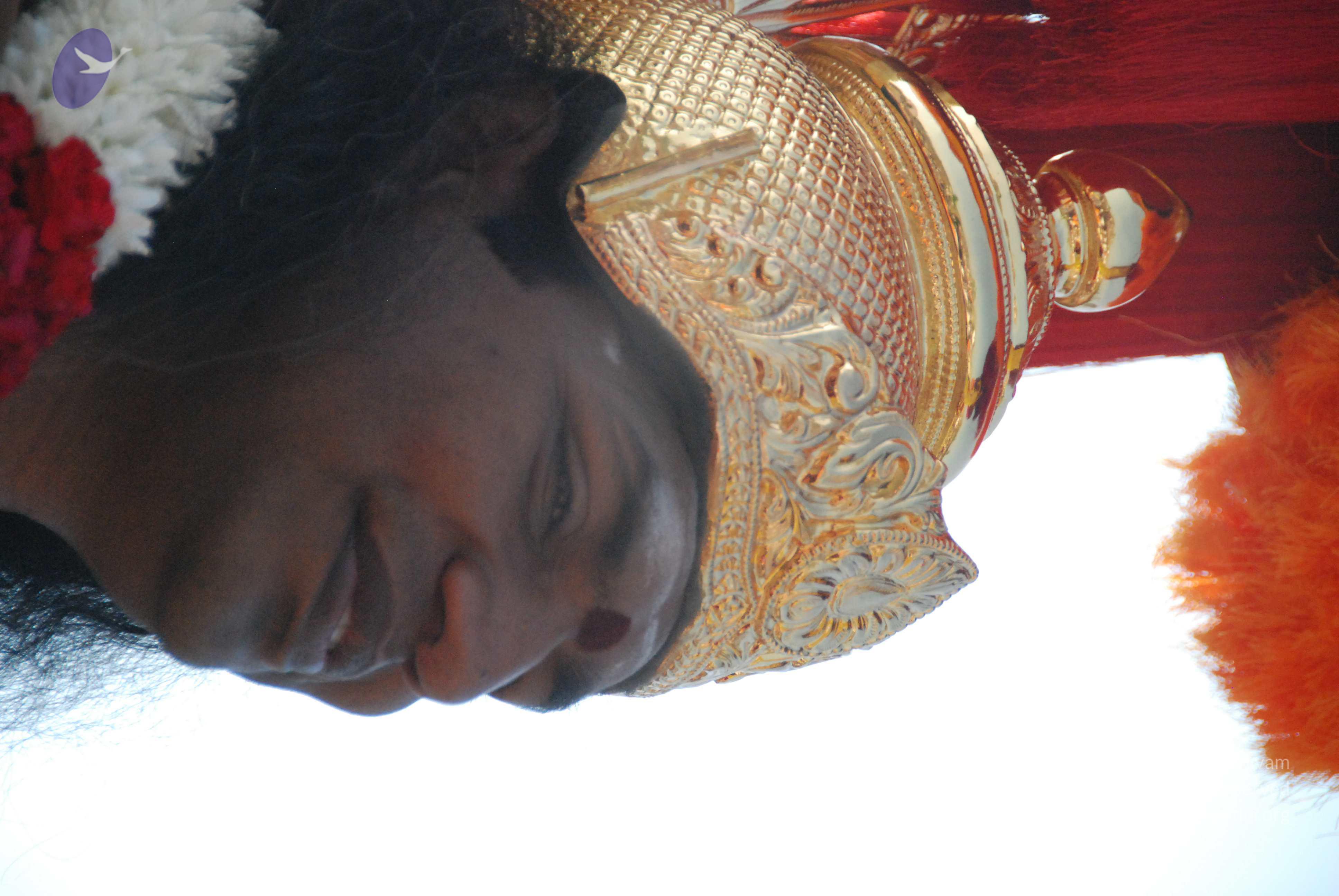 20100101_Photo_1458_DSC_1710_CMP_WM