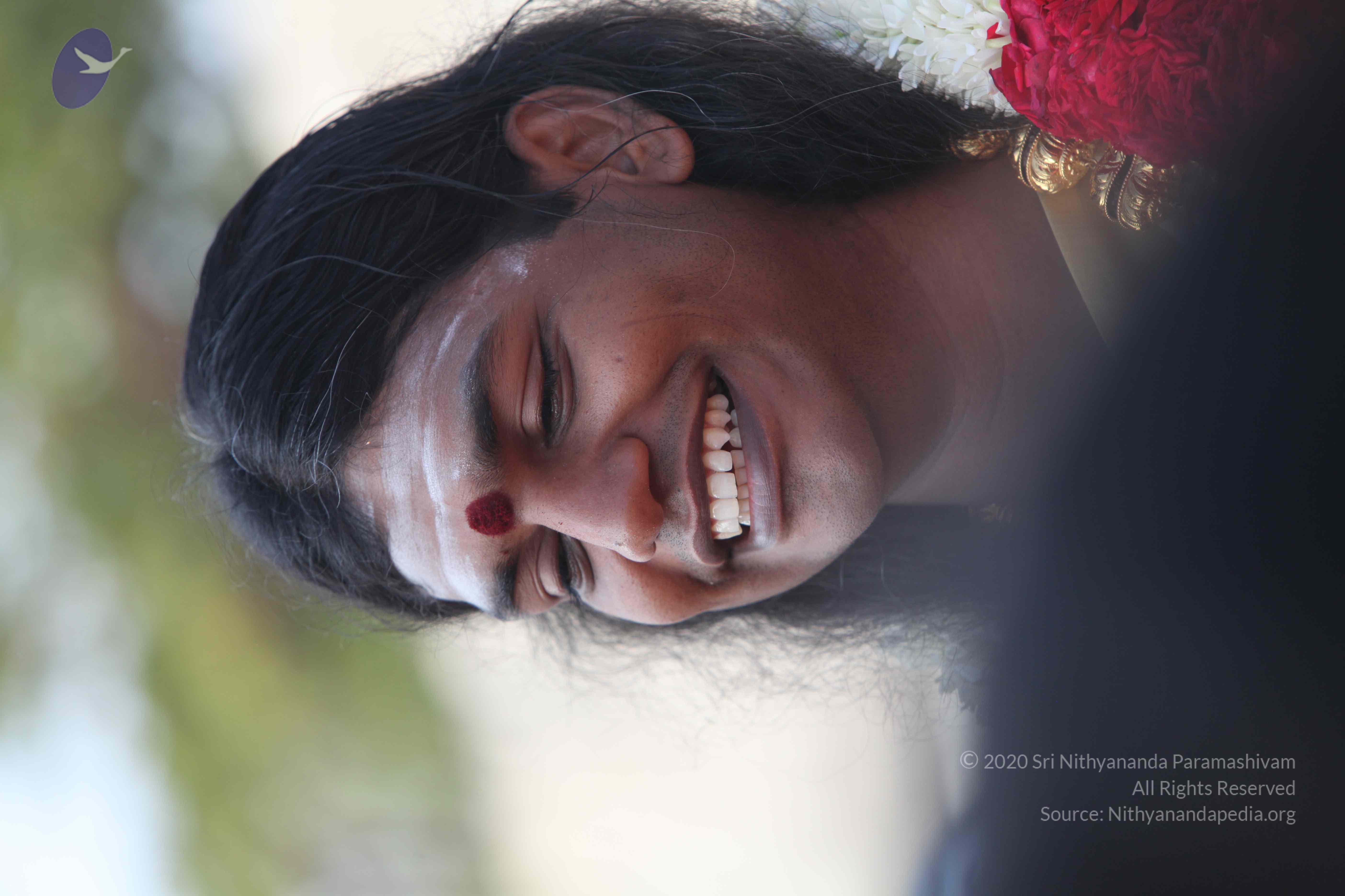 20100101_Photo_1468_IMG_4277_CMP_WM