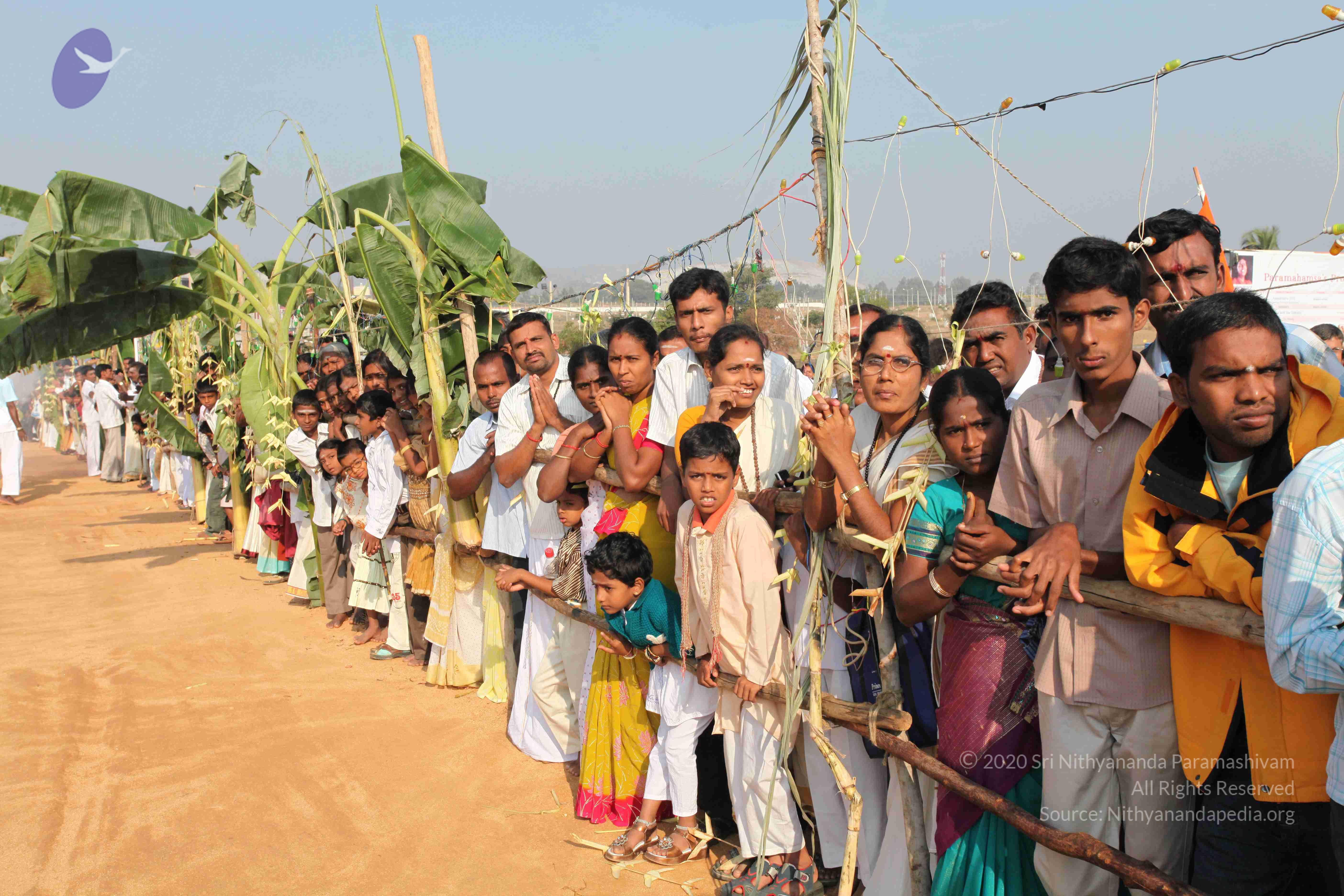 20100101_Photo_1471_IMG_4401_CMP_WM