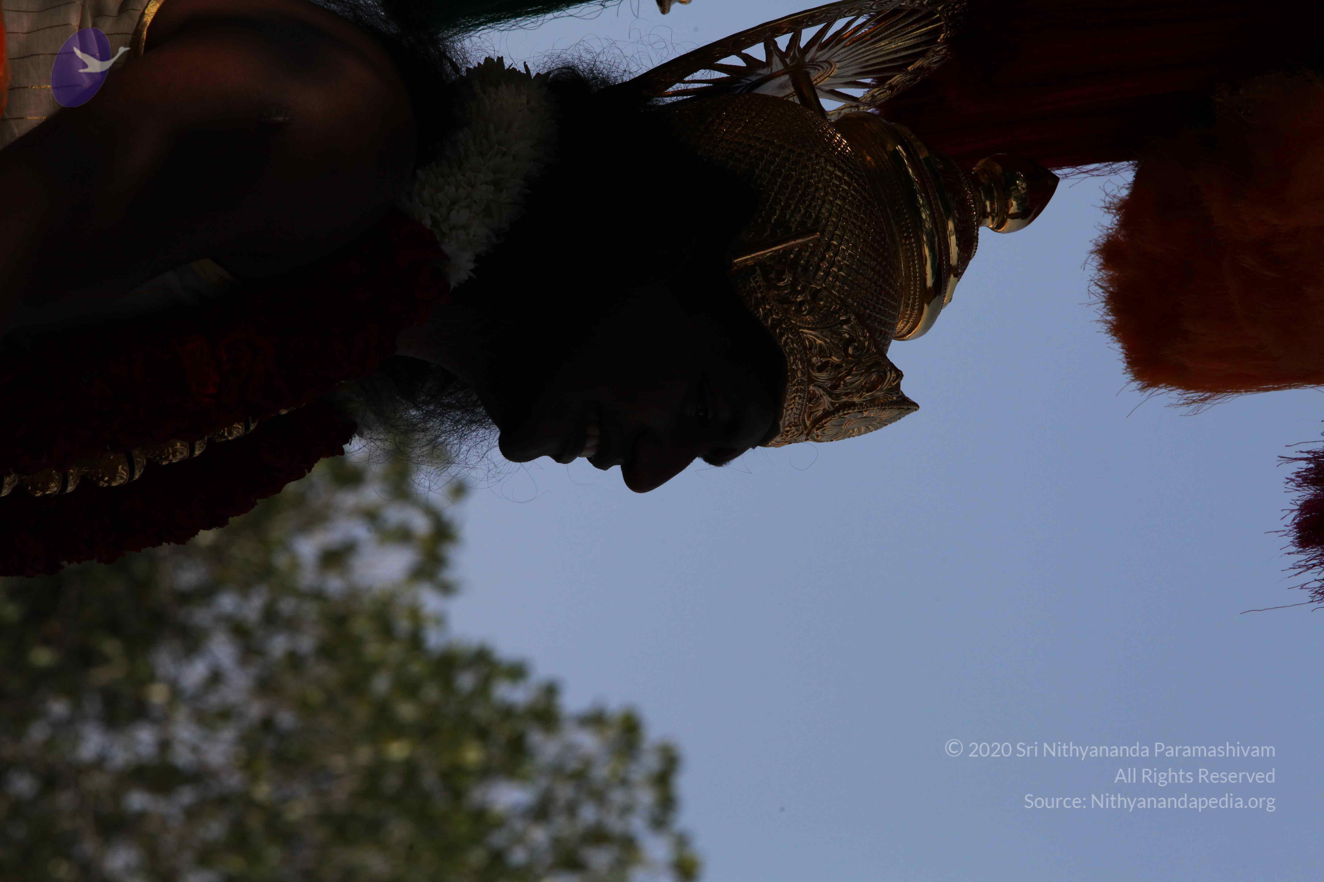 20100101_Photo_1489_IMG_4657_CMP_WM