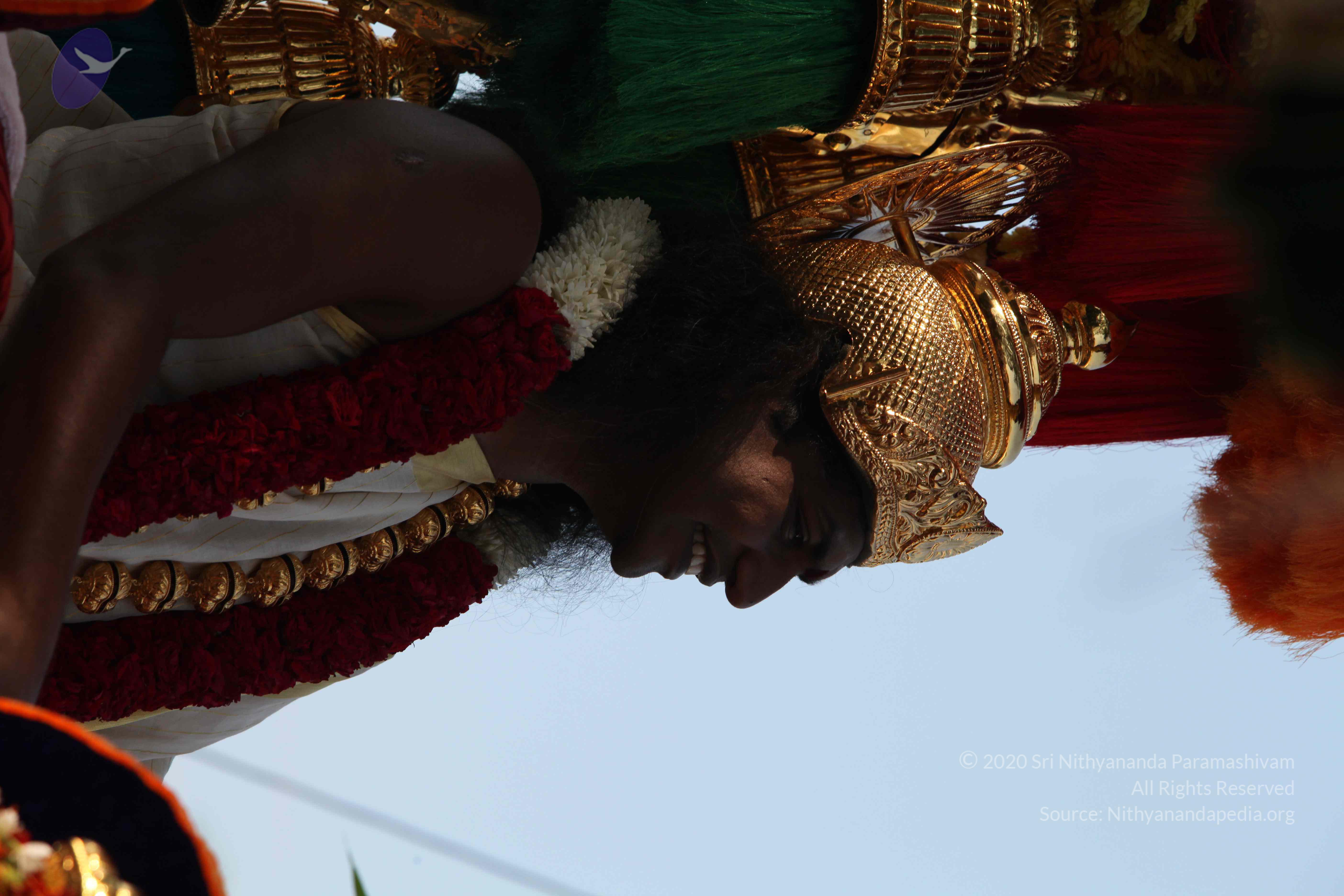 20100101_Photo_1490_IMG_4660_CMP_WM