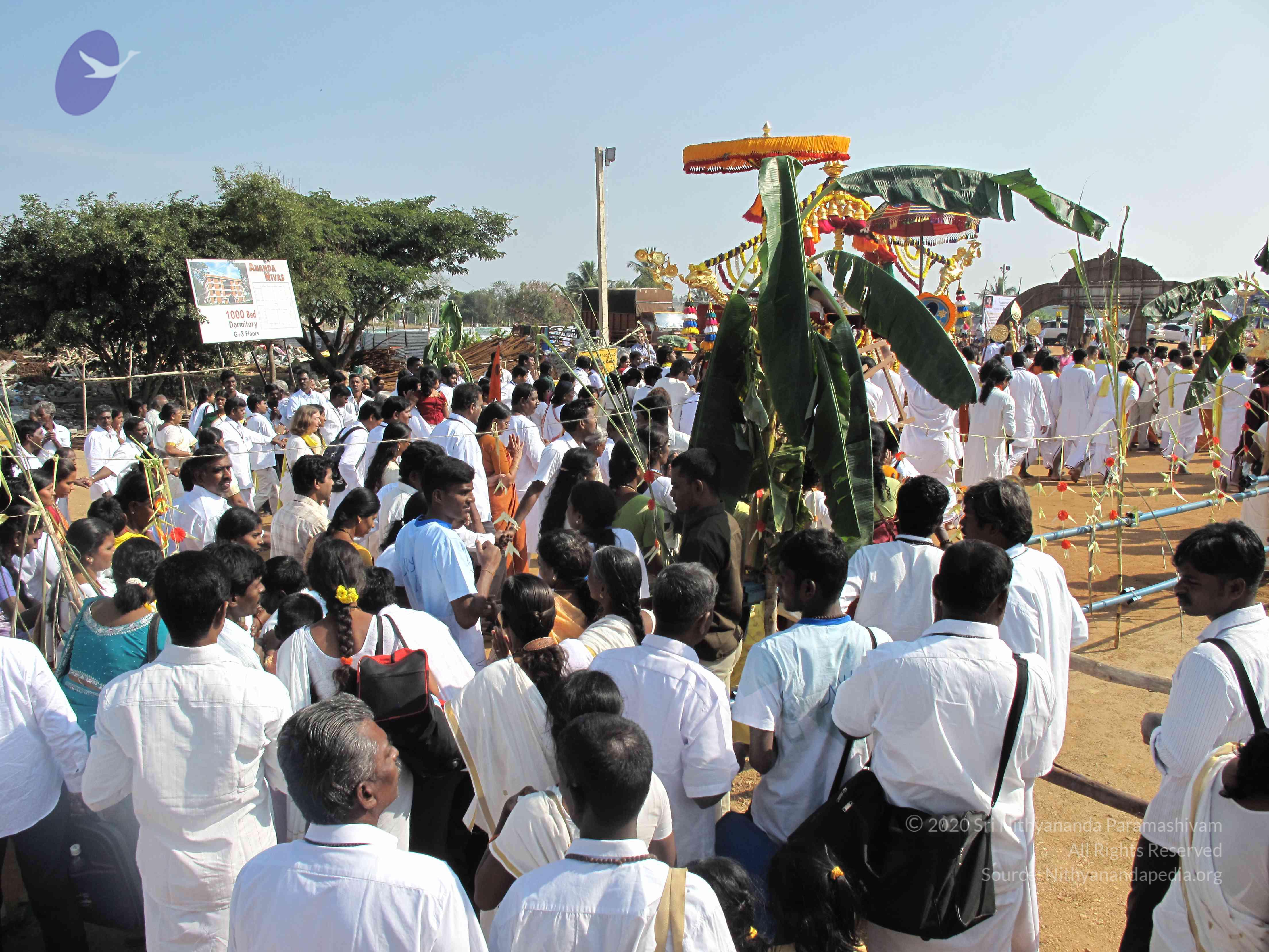 20100101_Photo_1535_IMG_1672_CMP_WM