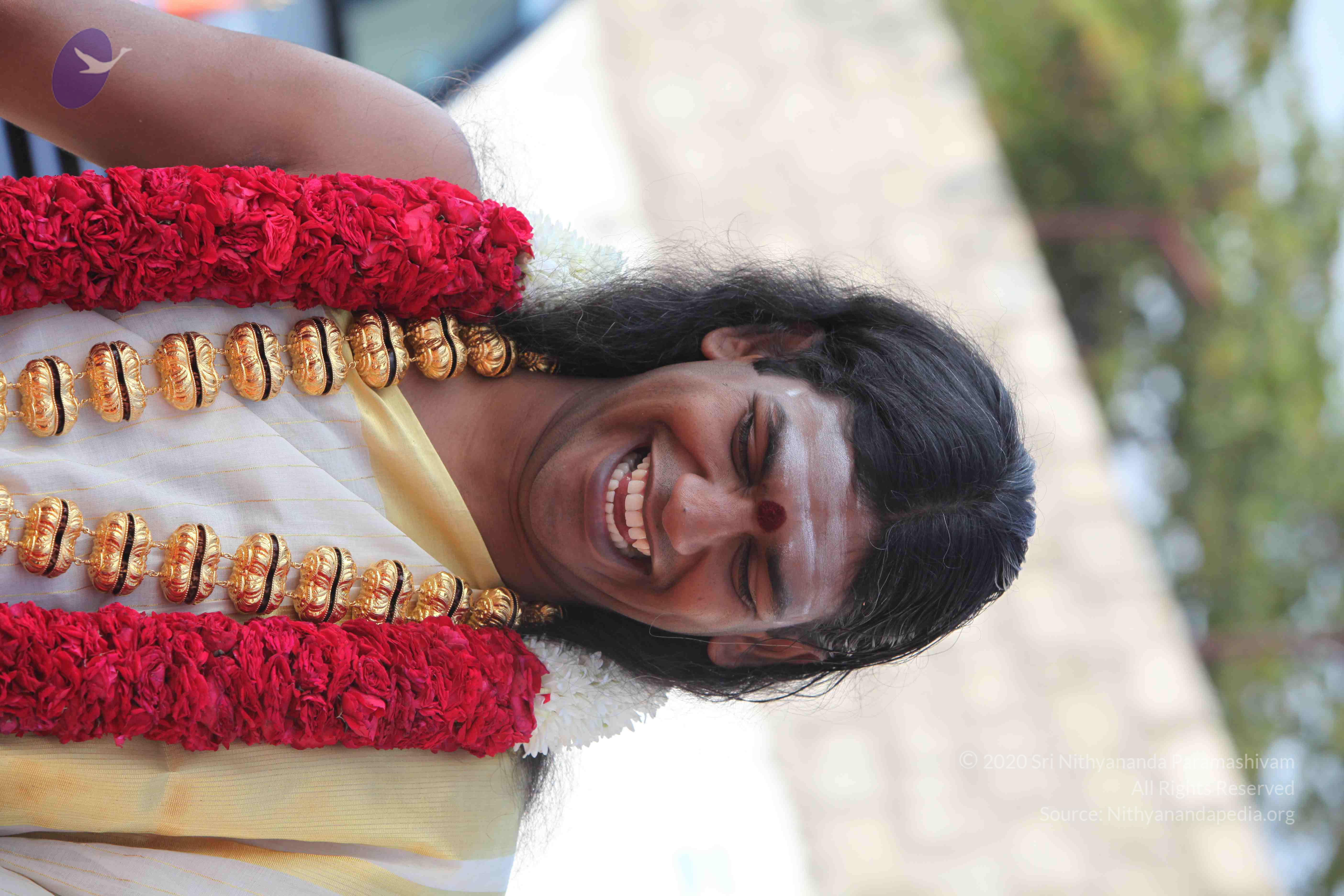 20100101_Photo_1540_IMG_4266_CMP_WM