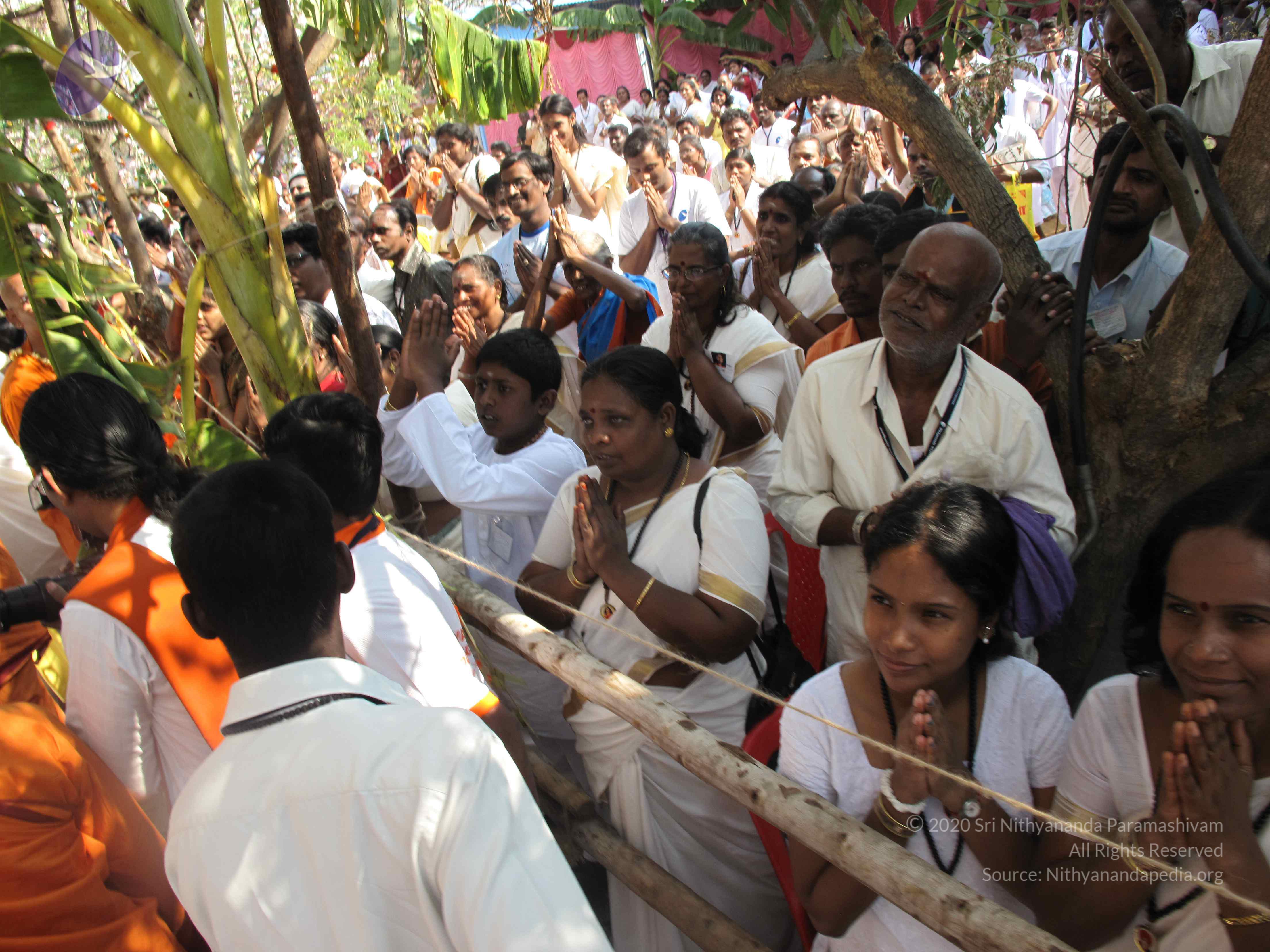 20100101_Photo_1006_IMG_1629_CMP_WM