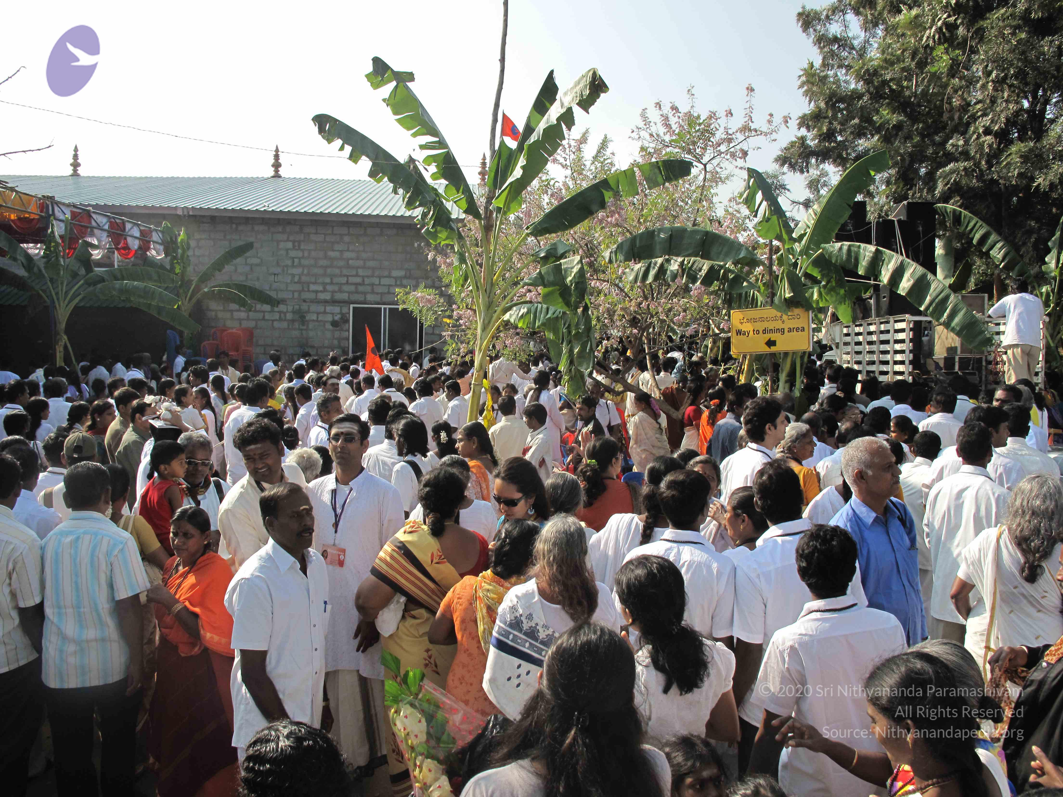 20100101_Photo_1007_IMG_1454_CMP_WM