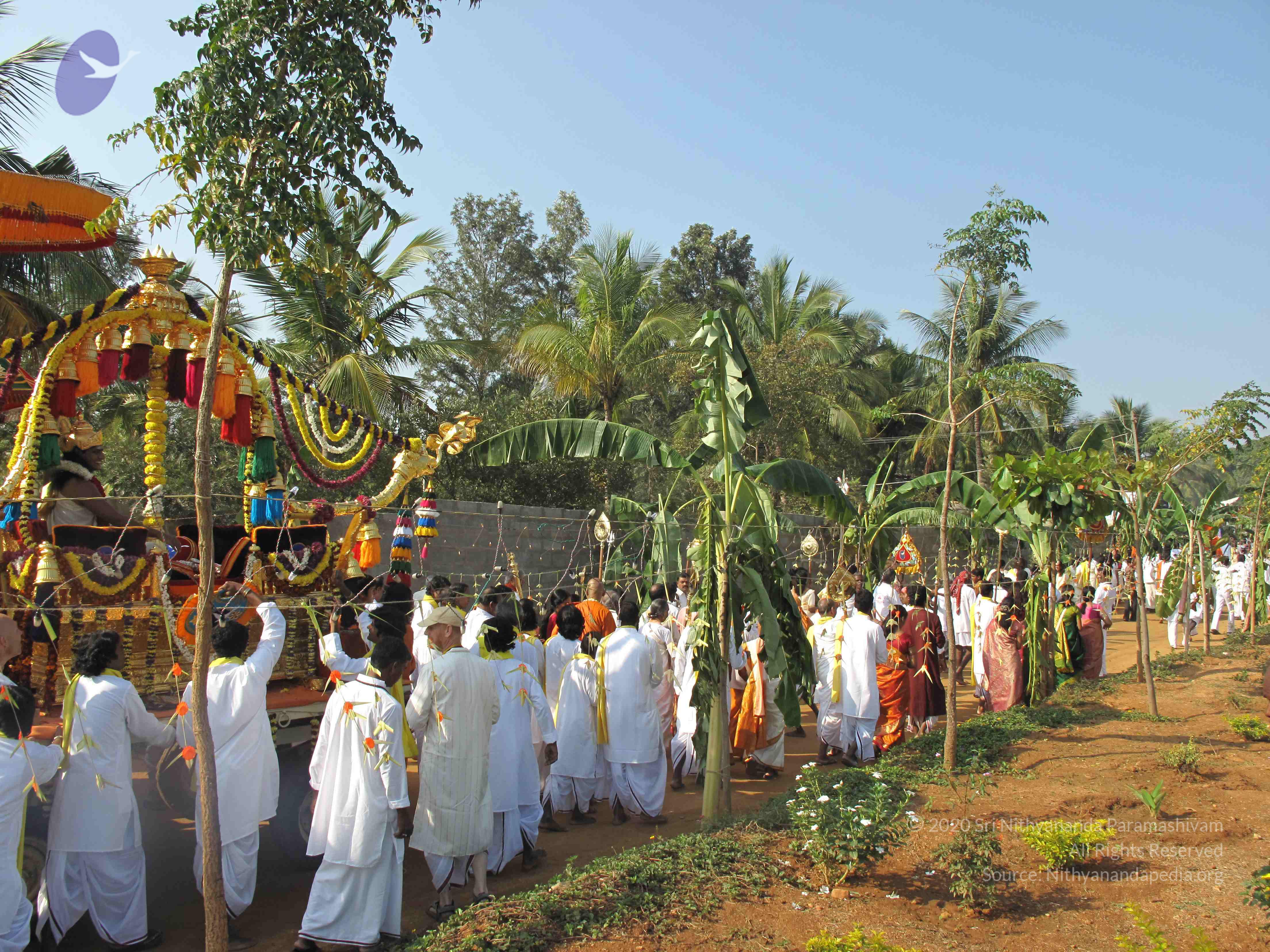 20100101_Photo_1020_IMG_1459_CMP_WM