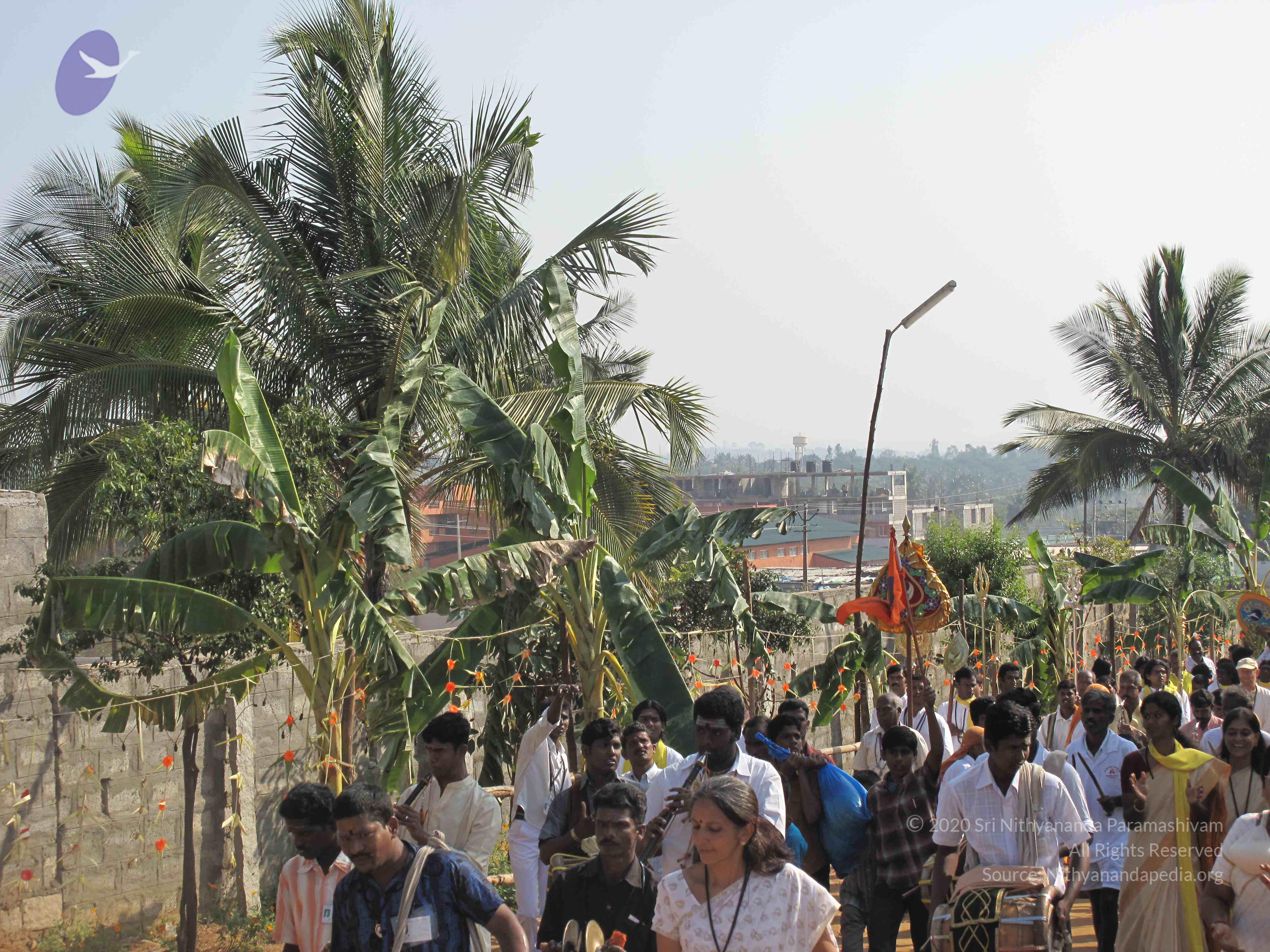 20100101_Photo_1031_IMG_1472_CMP_WM