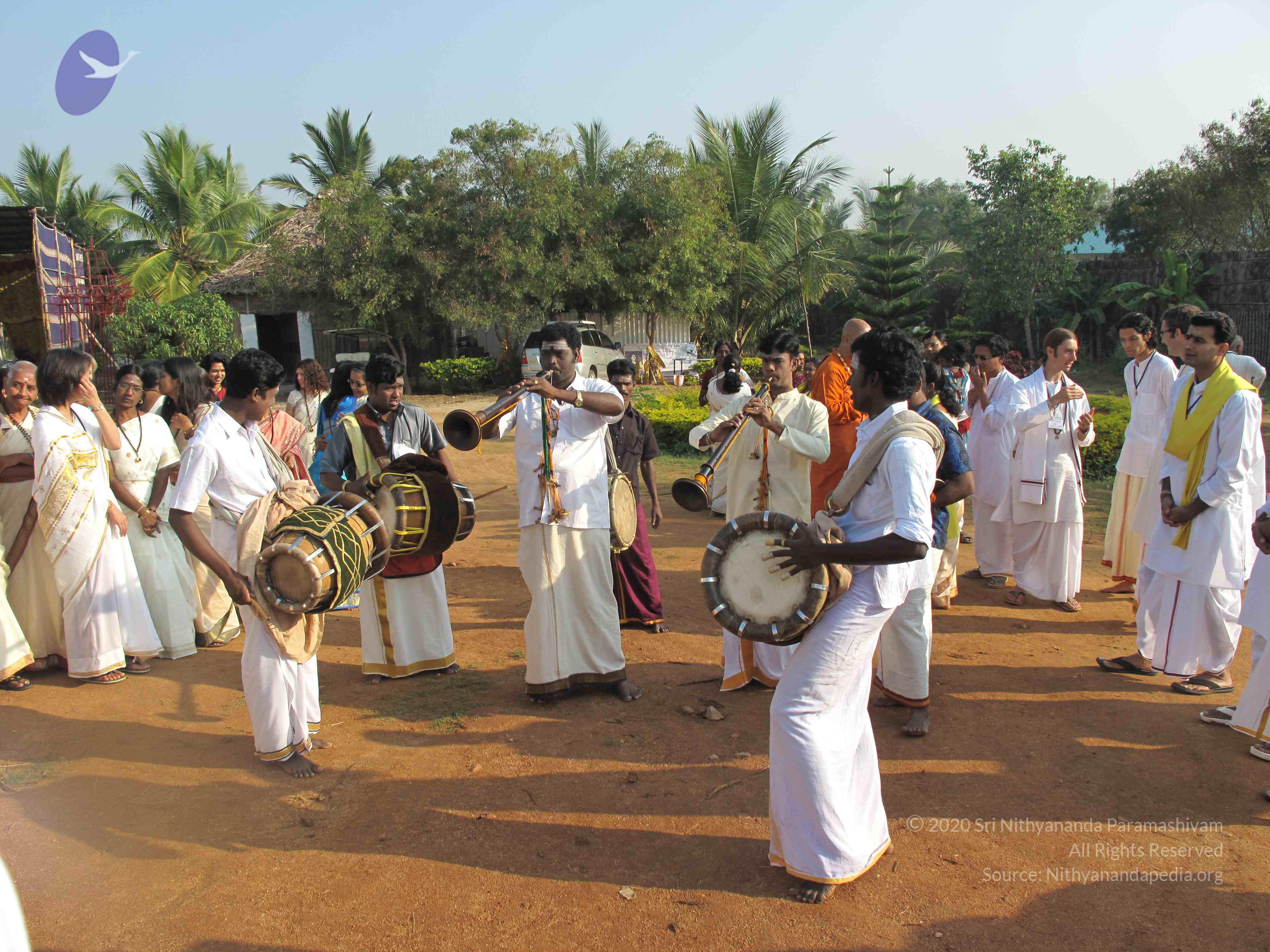 20100101_Photo_1032_IMG_1251_CMP_WM