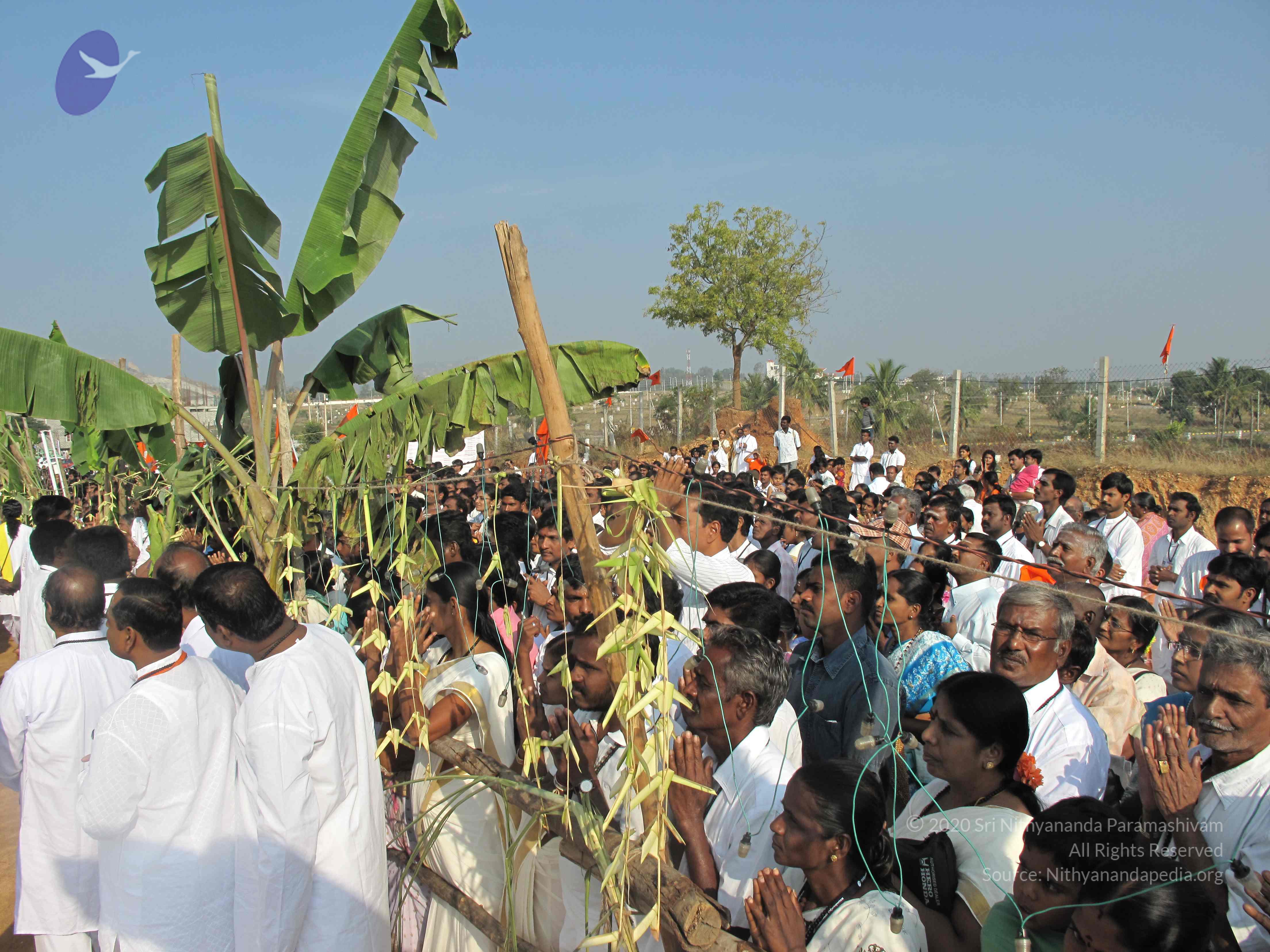 20100101_Photo_1035_IMG_1372_CMP_WM