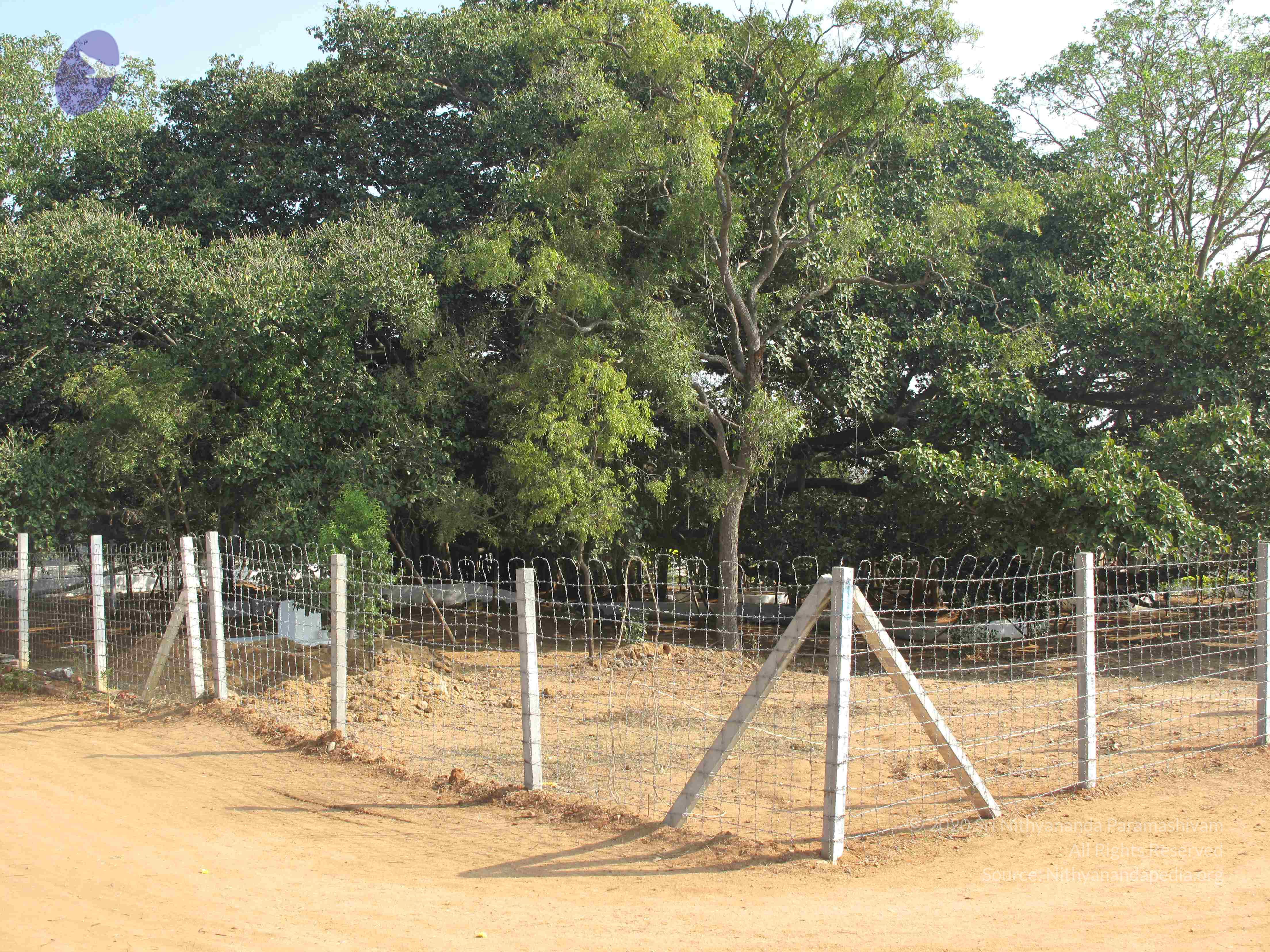 20100101_Photo_1064_IMG_1572_CMP_WM