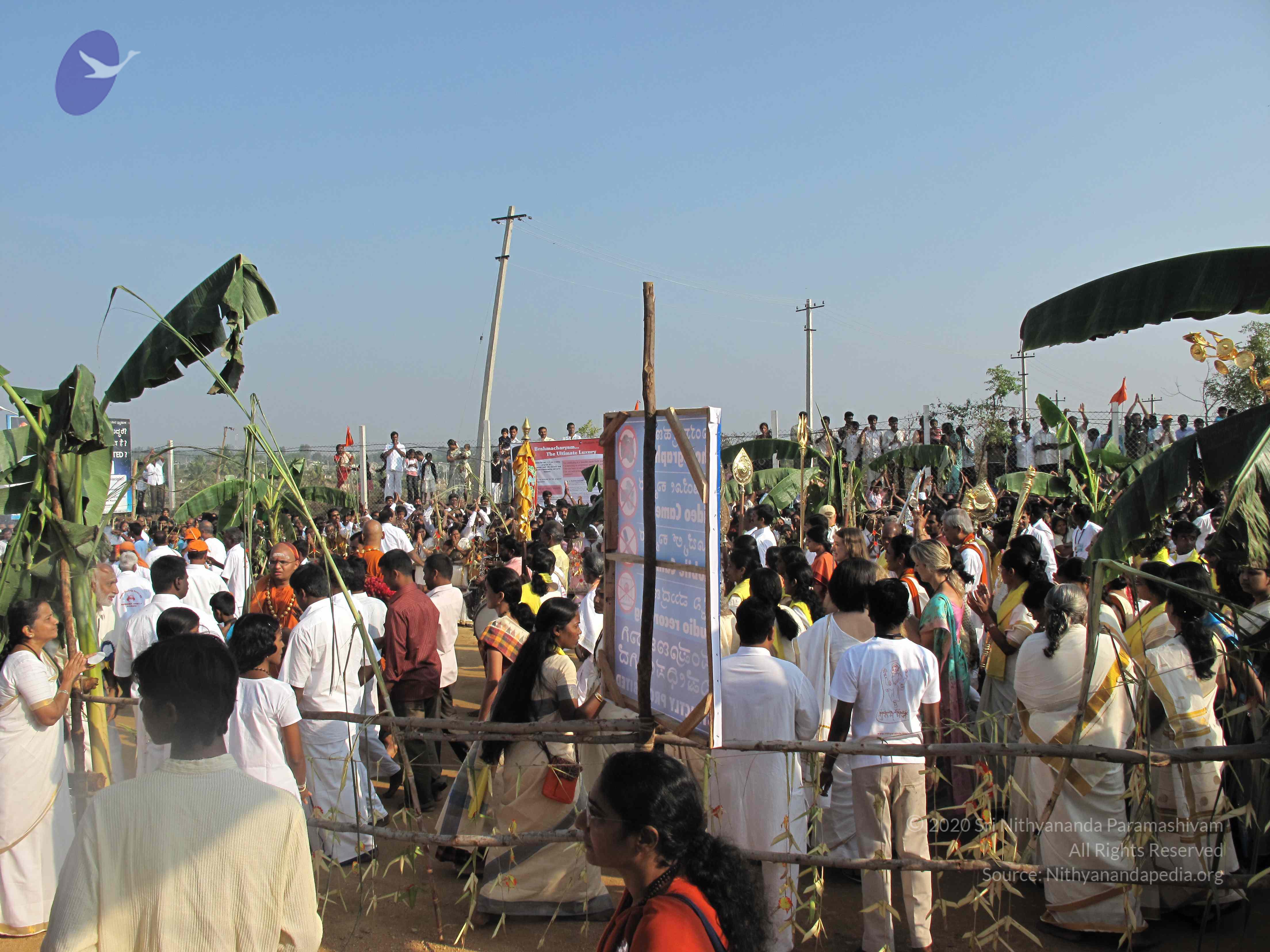 20100101_Photo_1065_IMG_1333_CMP_WM