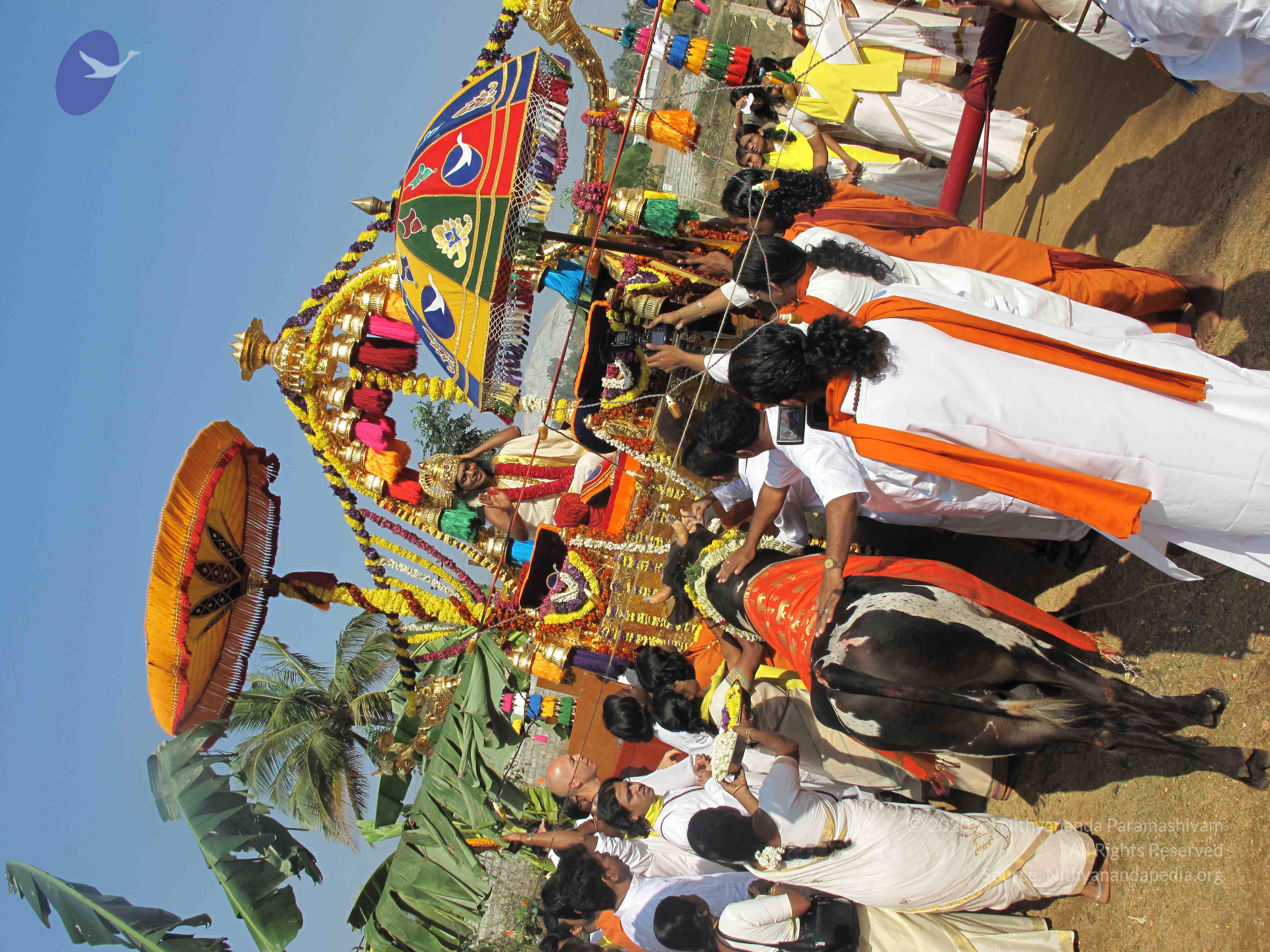 20100101_Photo_1073_IMG_1607_CMP_WM