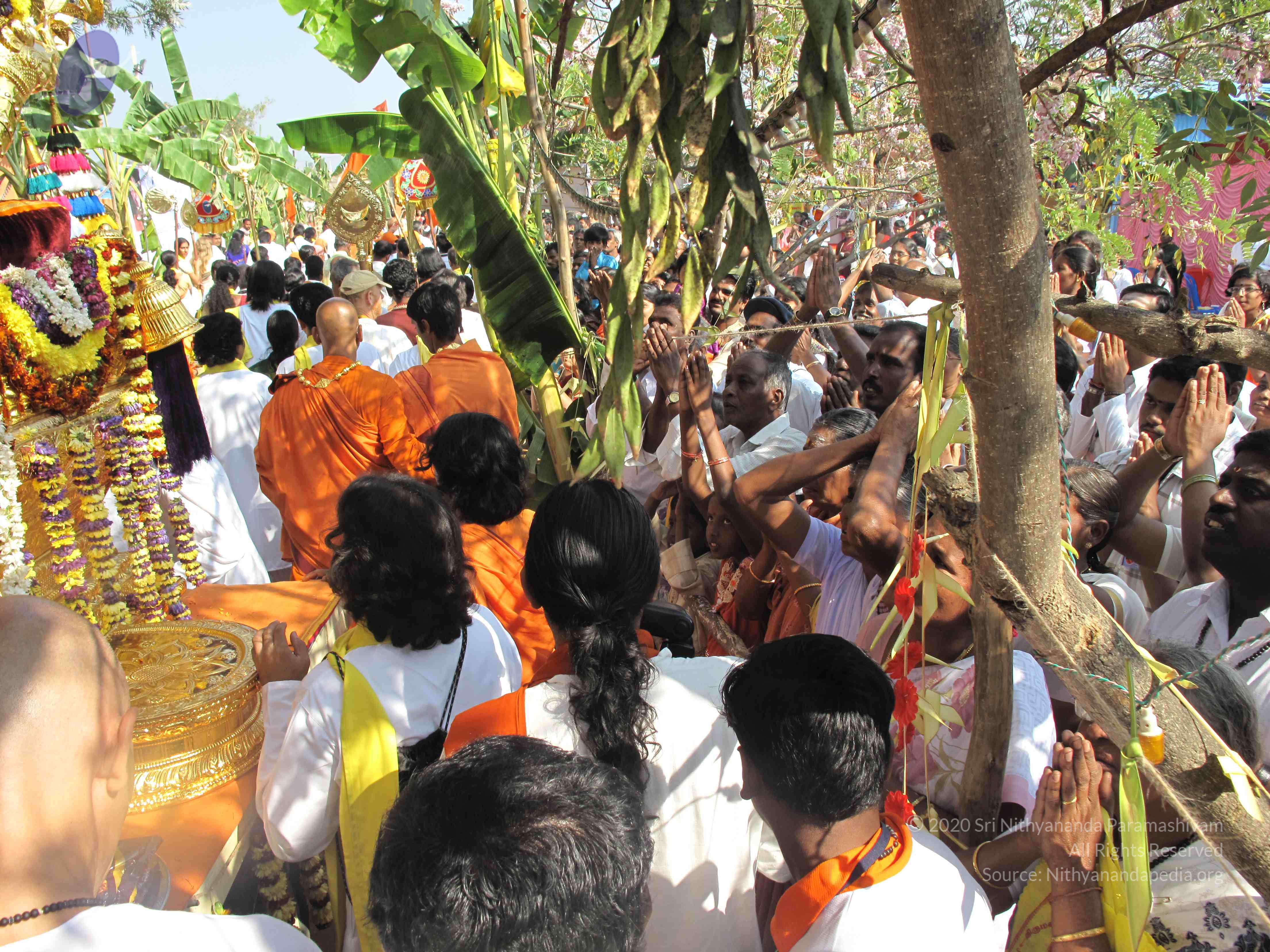 20100101_Photo_1075_IMG_1630_CMP_WM