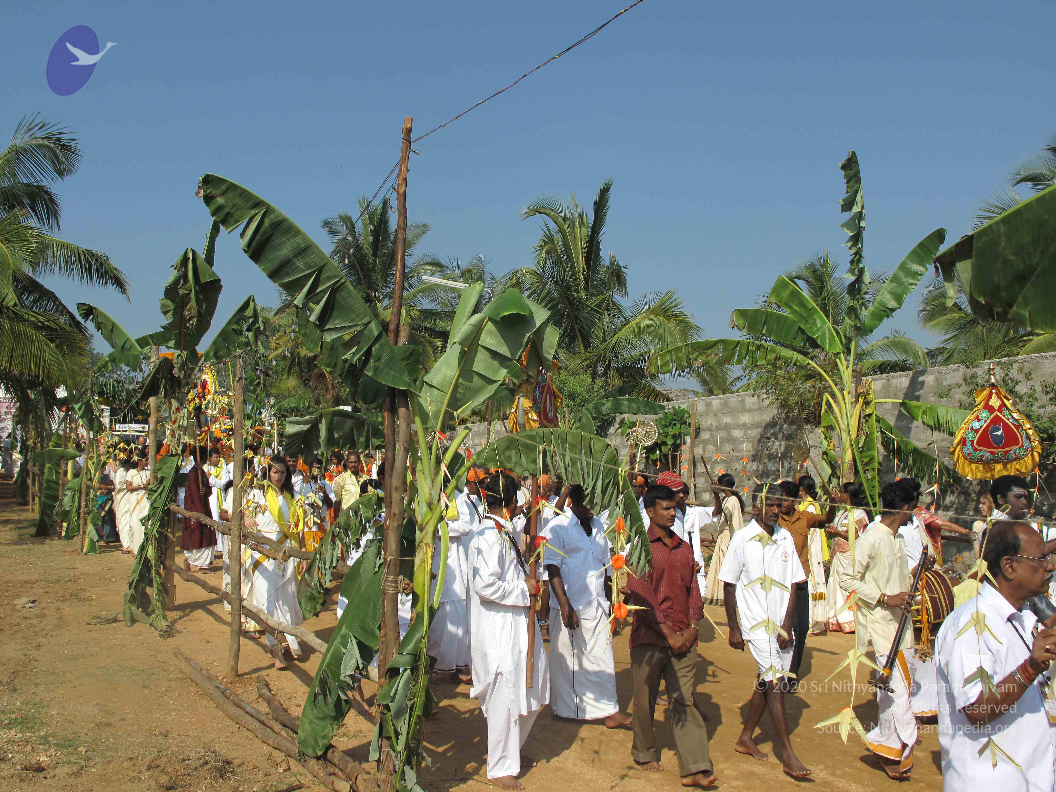 20100101_Photo_1085_IMG_1600_CMP_WM