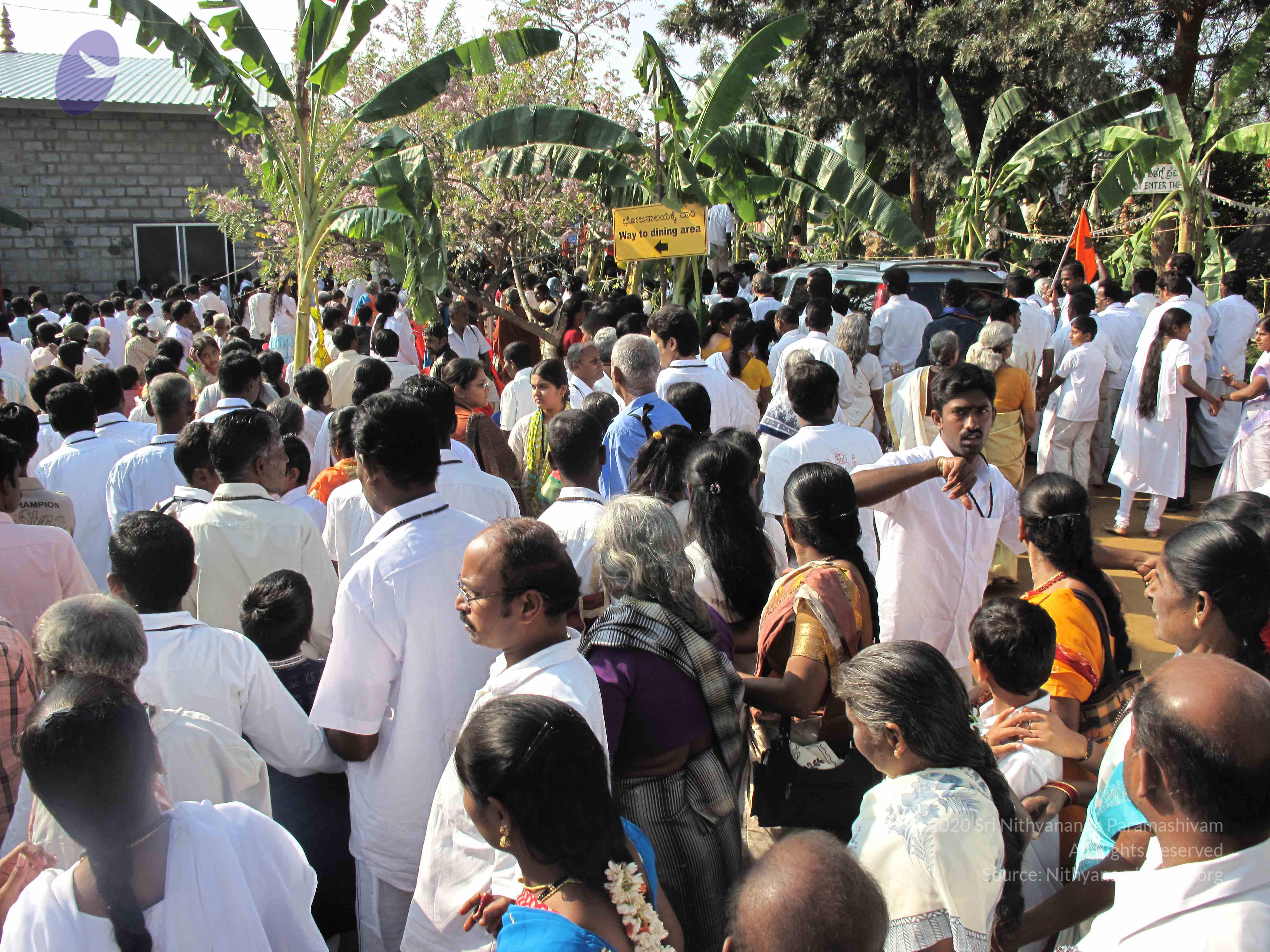 20100101_Photo_1091_IMG_1456_CMP_WM