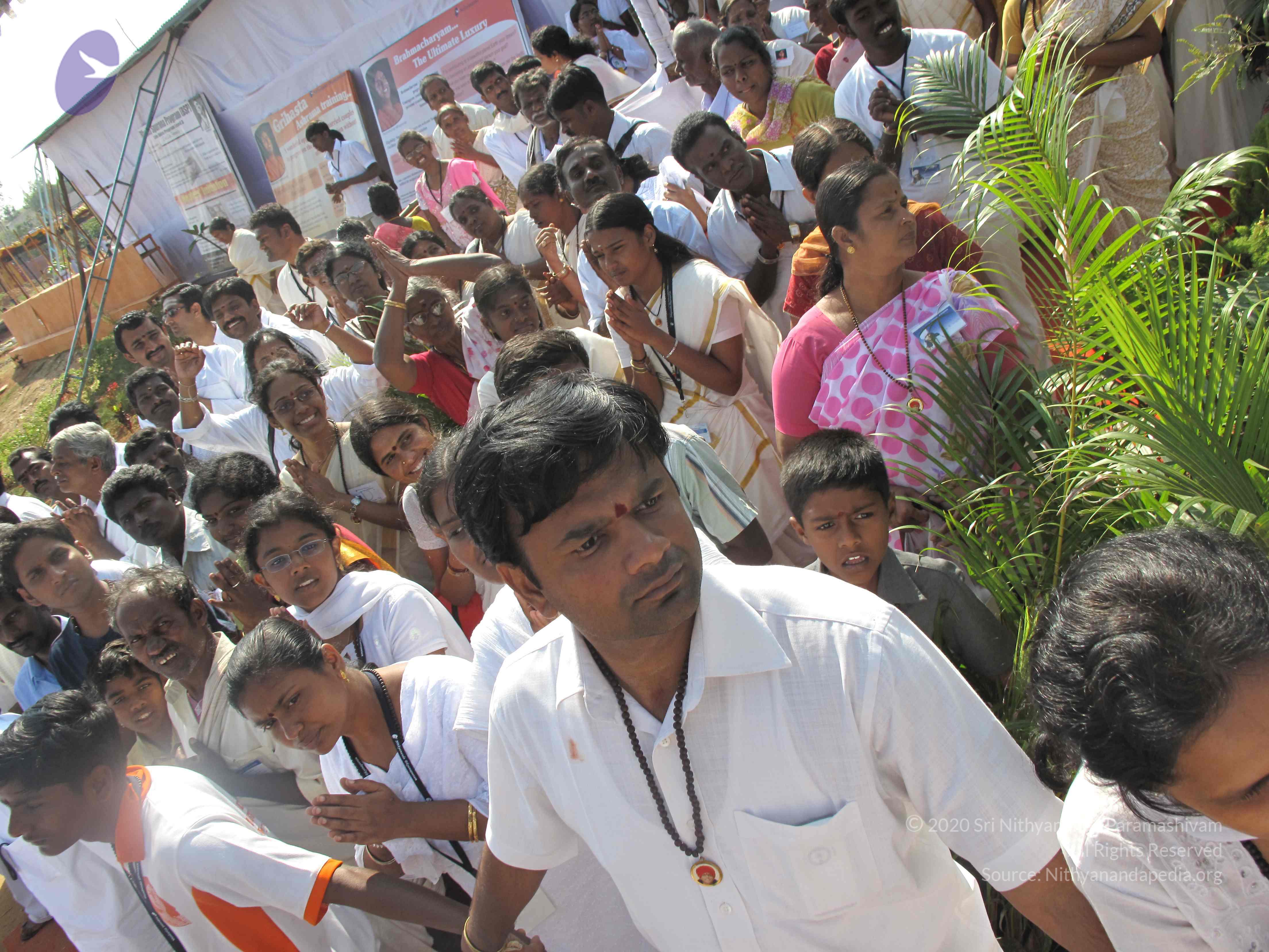 20100101_Photo_1111_IMG_1644_CMP_WM