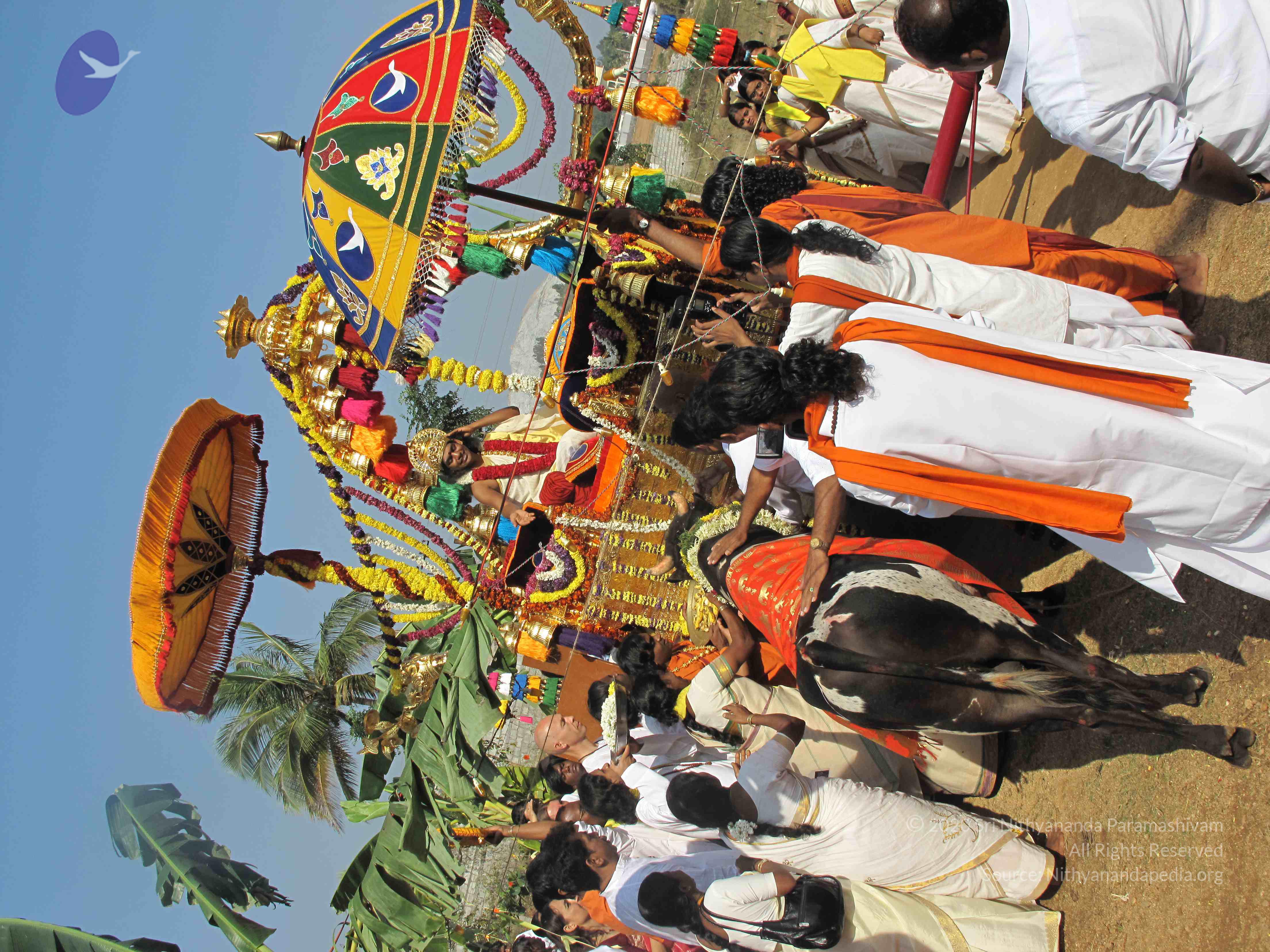 20100101_Photo_1120_IMG_1608_CMP_WM